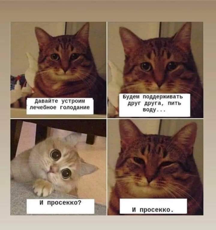 /pic/uploaded/FB_IMG_1626726088422.jpg