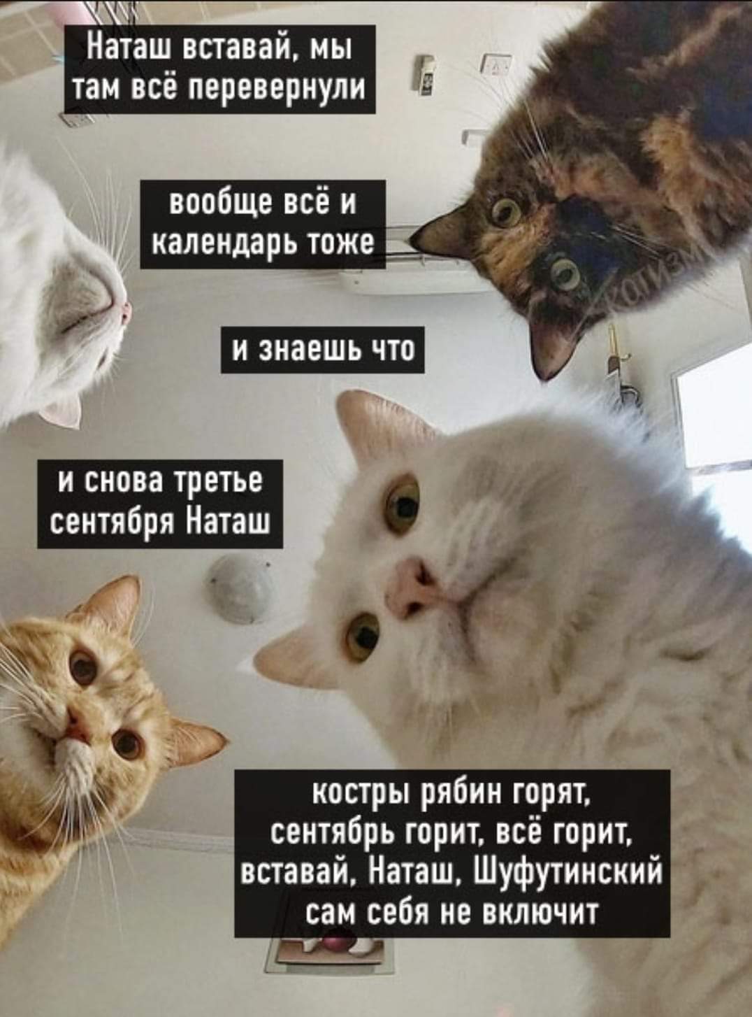 /pic/uploaded/FB_IMG_1630658716246.jpg