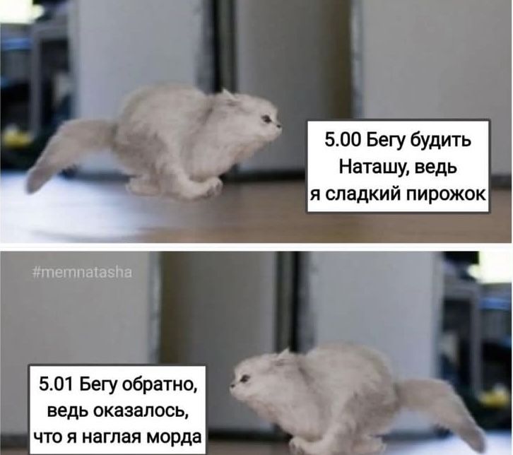 /pic/uploaded/FD831454-503D-4823-B827-53475214F858.jpeg