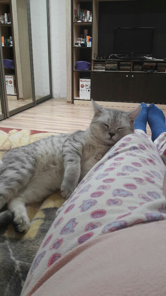 /pic/uploaded/IMG-20161215-WA0004-580x1031.jpeg