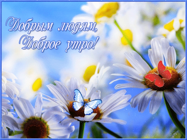 /pic/uploaded/IMG-20170818-WA0000.jpg