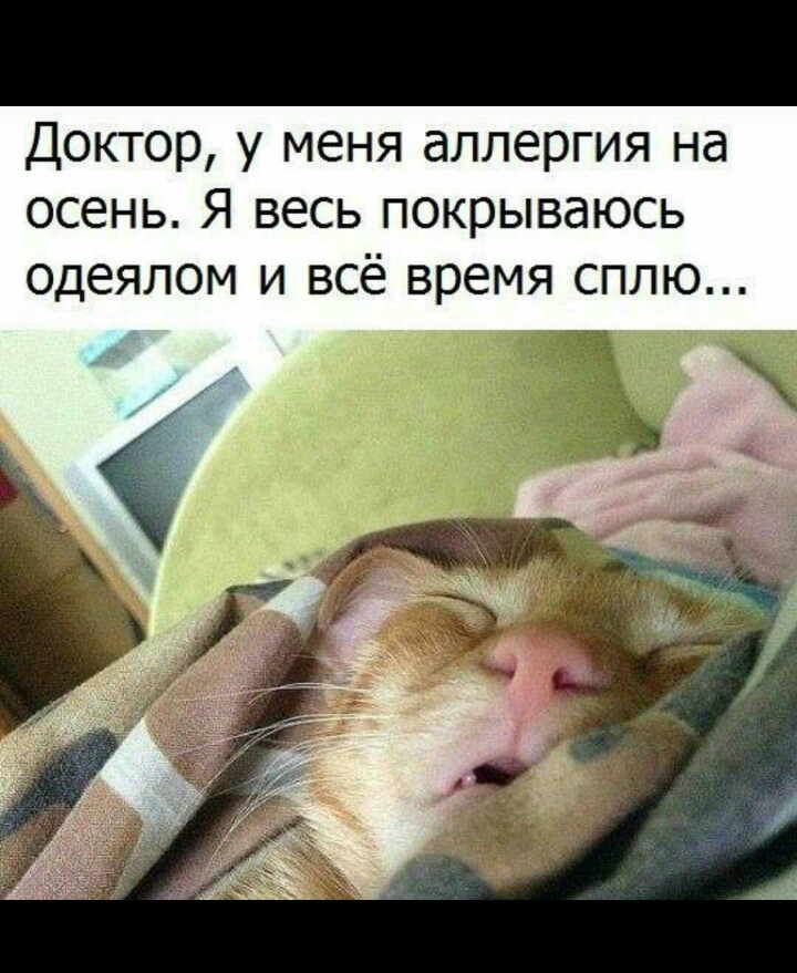 /pic/uploaded/IMG-20170927-WA0009.jpg