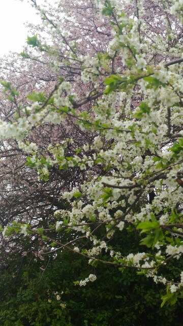 /pic/uploaded/IMG-20180319-WA0002-360x640.jpg
