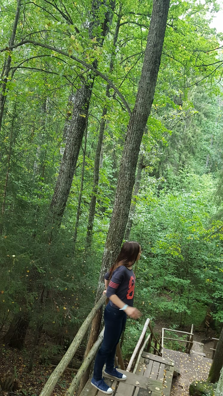 /pic/uploaded/IMG-20180918-WA0004.jpg