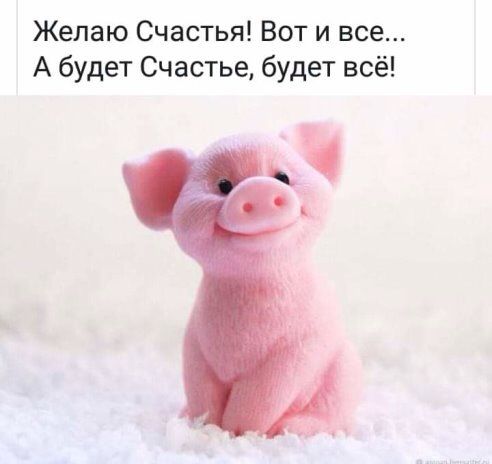 /pic/uploaded/IMG-20181231-WA0006.jpg