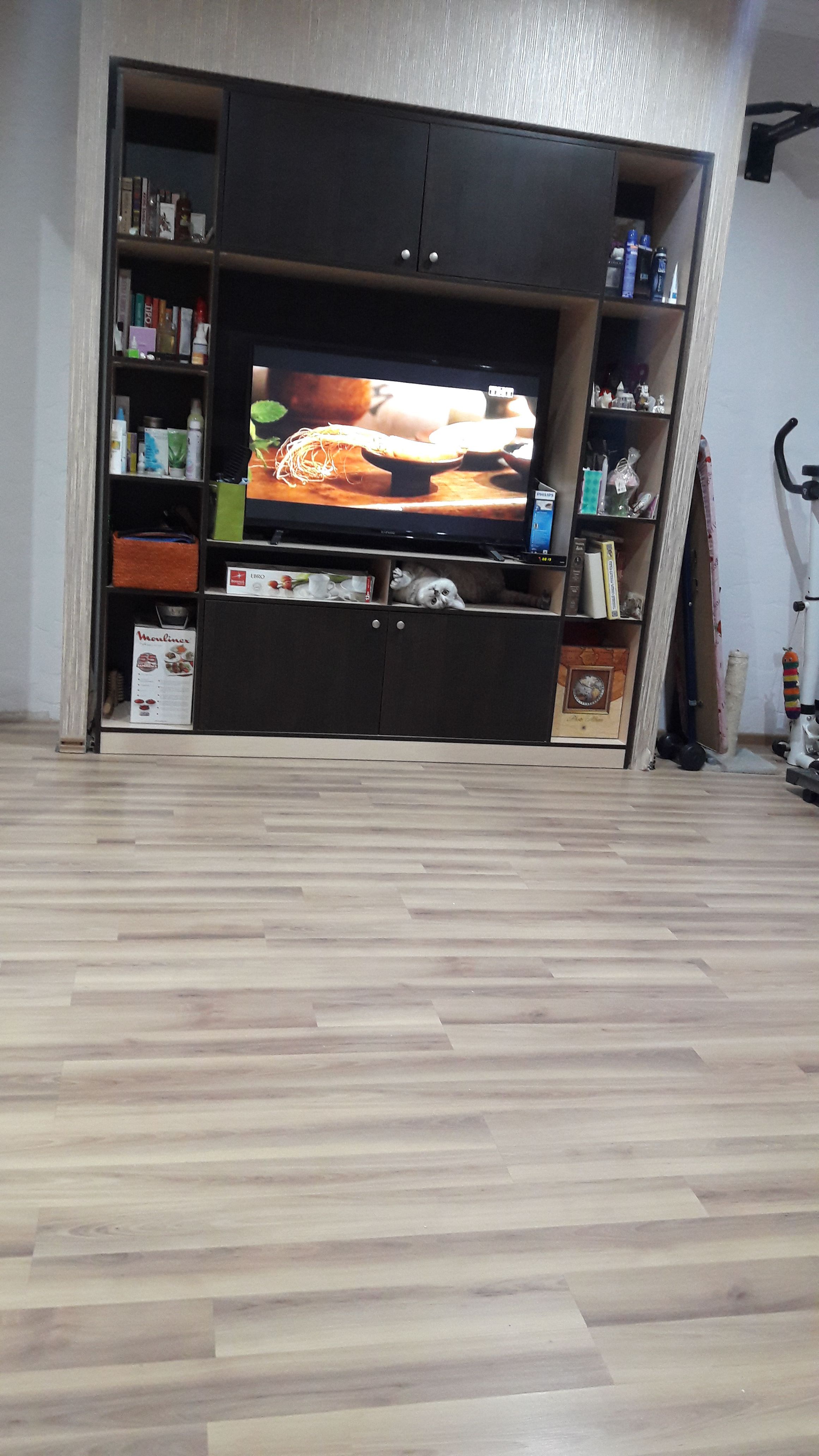 /pic/uploaded/IMG-20190112-WA0001.jpeg