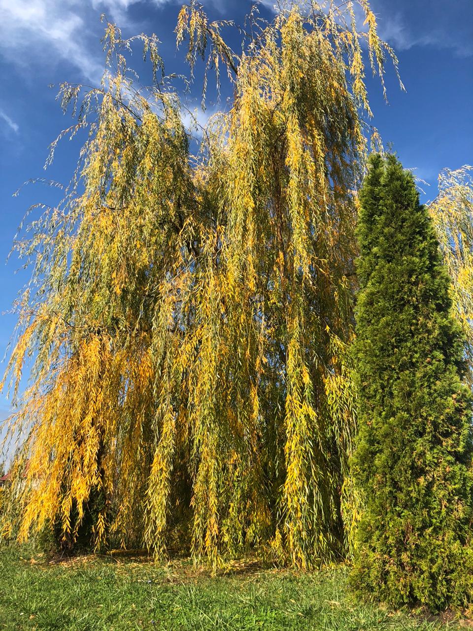 /pic/uploaded/IMG-20191012-WA0003.jpg