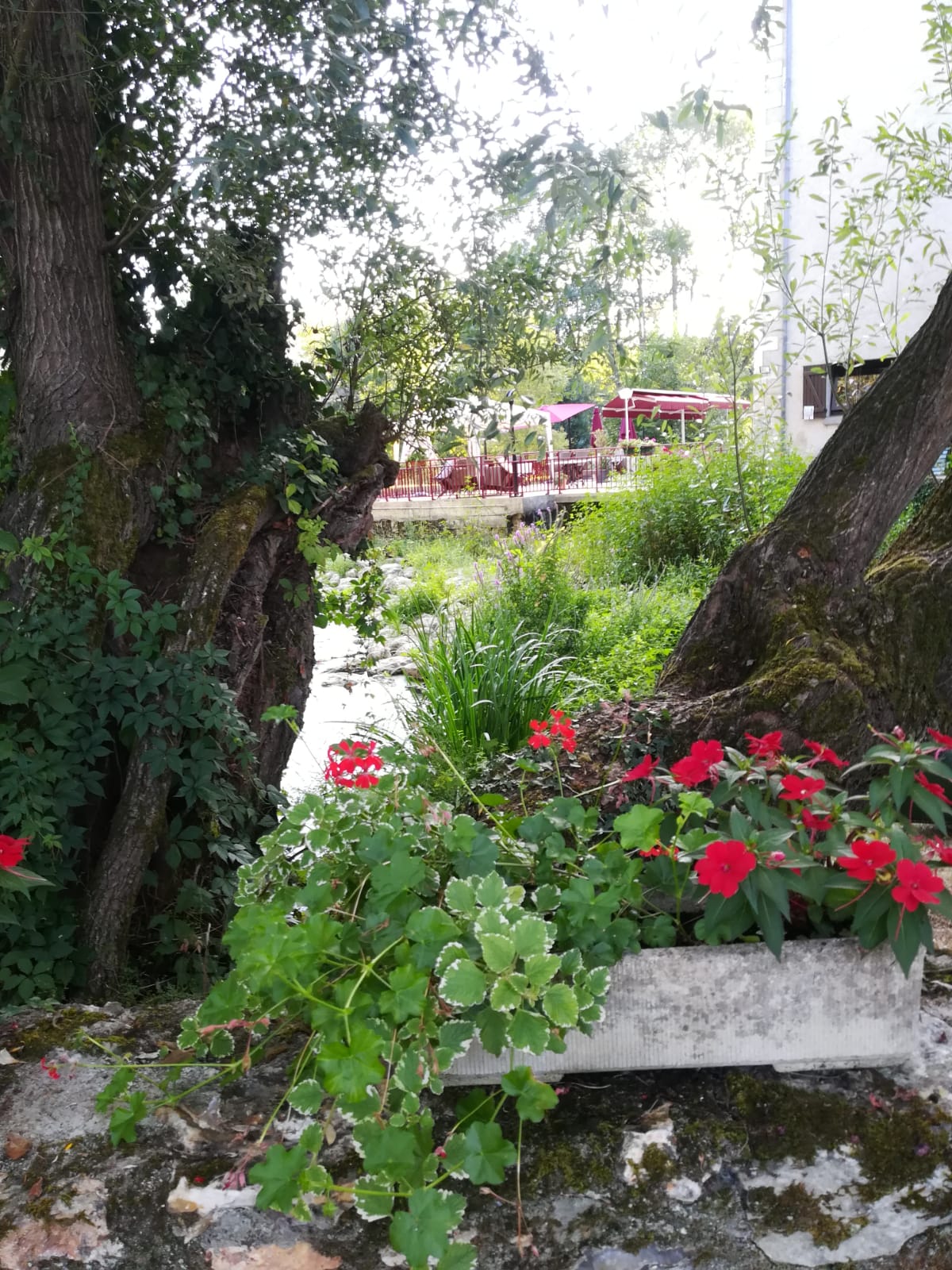 /pic/uploaded/IMG-20200905-WA0031.jpg
