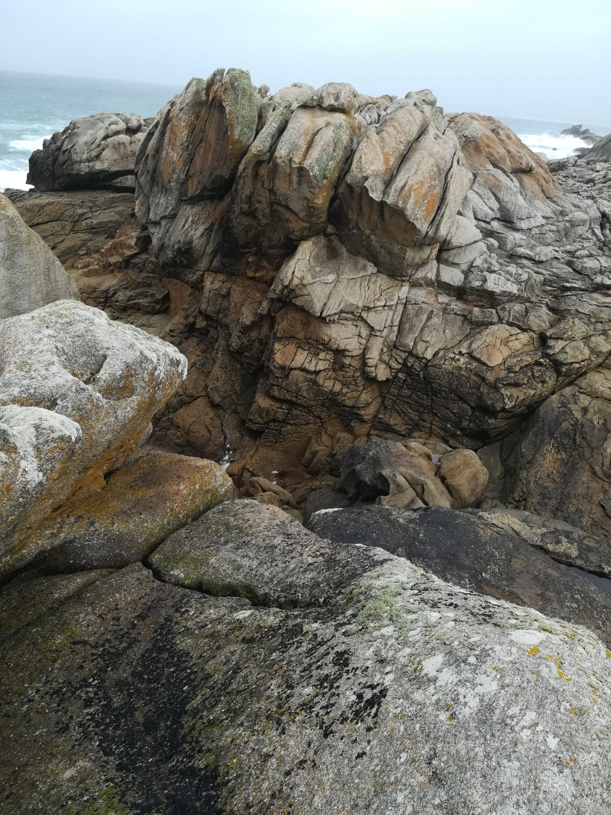 /pic/uploaded/IMG-20201024-WA0019.jpg