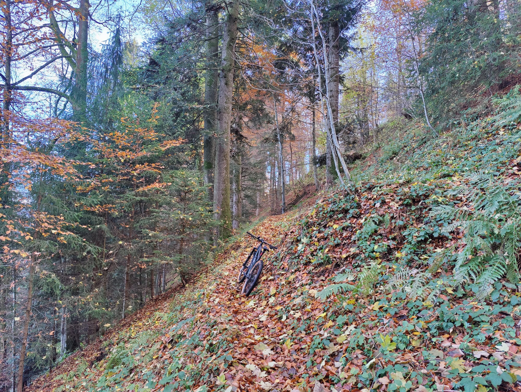 /pic/uploaded/IMG-20211107-WA0010.jpg