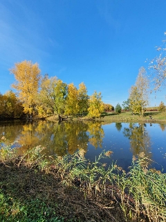 /pic/uploaded/IMG-91f1d867d55a5525ddb792d9fdac37f0-V-240x320.jpg