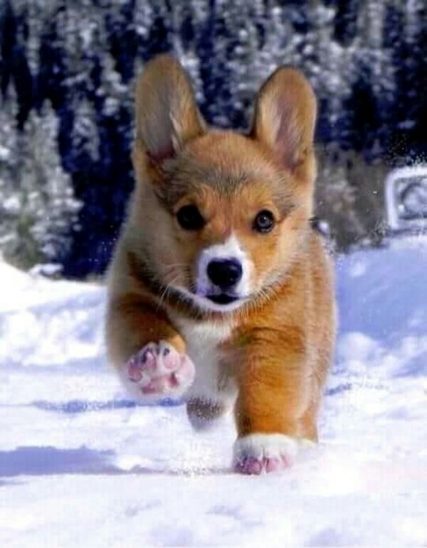 /pic/uploaded/IMG-c3e65a0aa35ce26683eb4db79e78a173-V-600x771.jpg