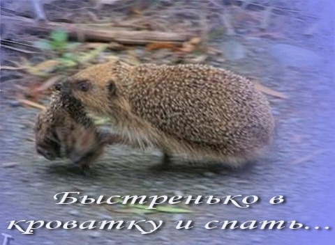 /pic/uploaded/IMG_20170426_004925.jpg