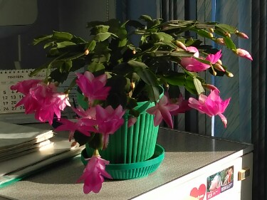 /pic/uploaded/IMG_20171121_123034_1511617180701.jpg