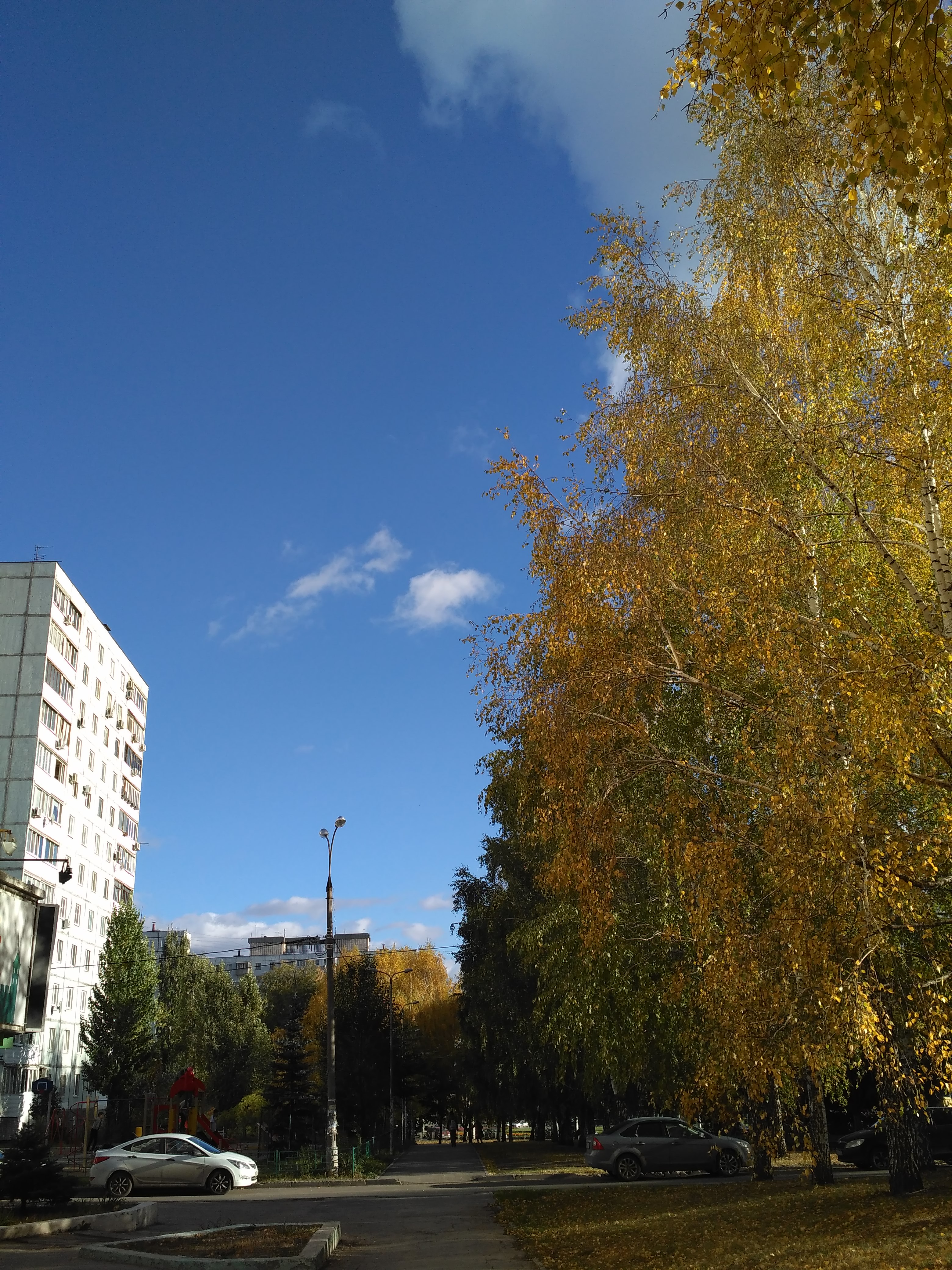 /pic/uploaded/IMG_20181011_155952.jpg