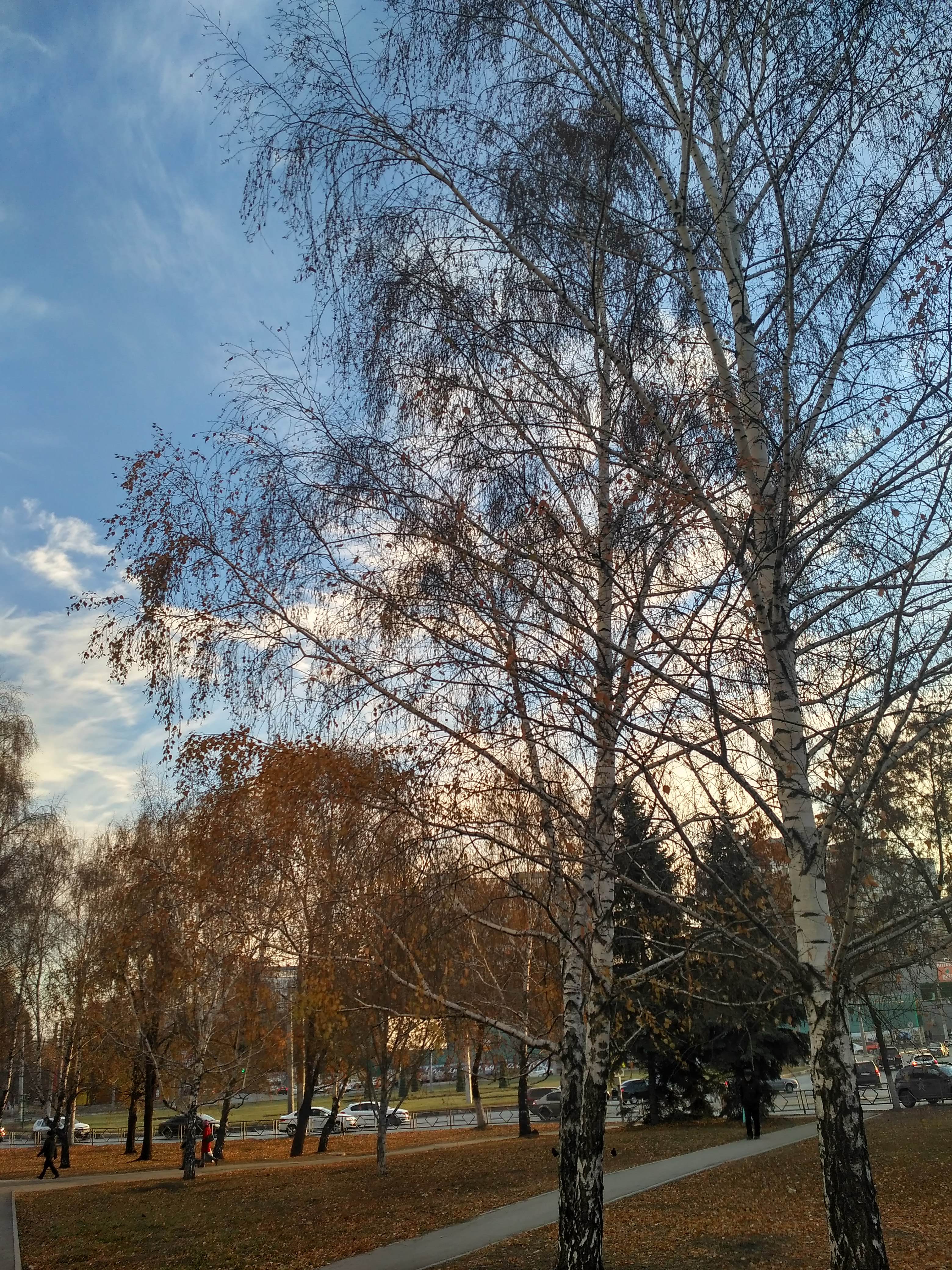 /pic/uploaded/IMG_20181118_151719_HDR.jpg