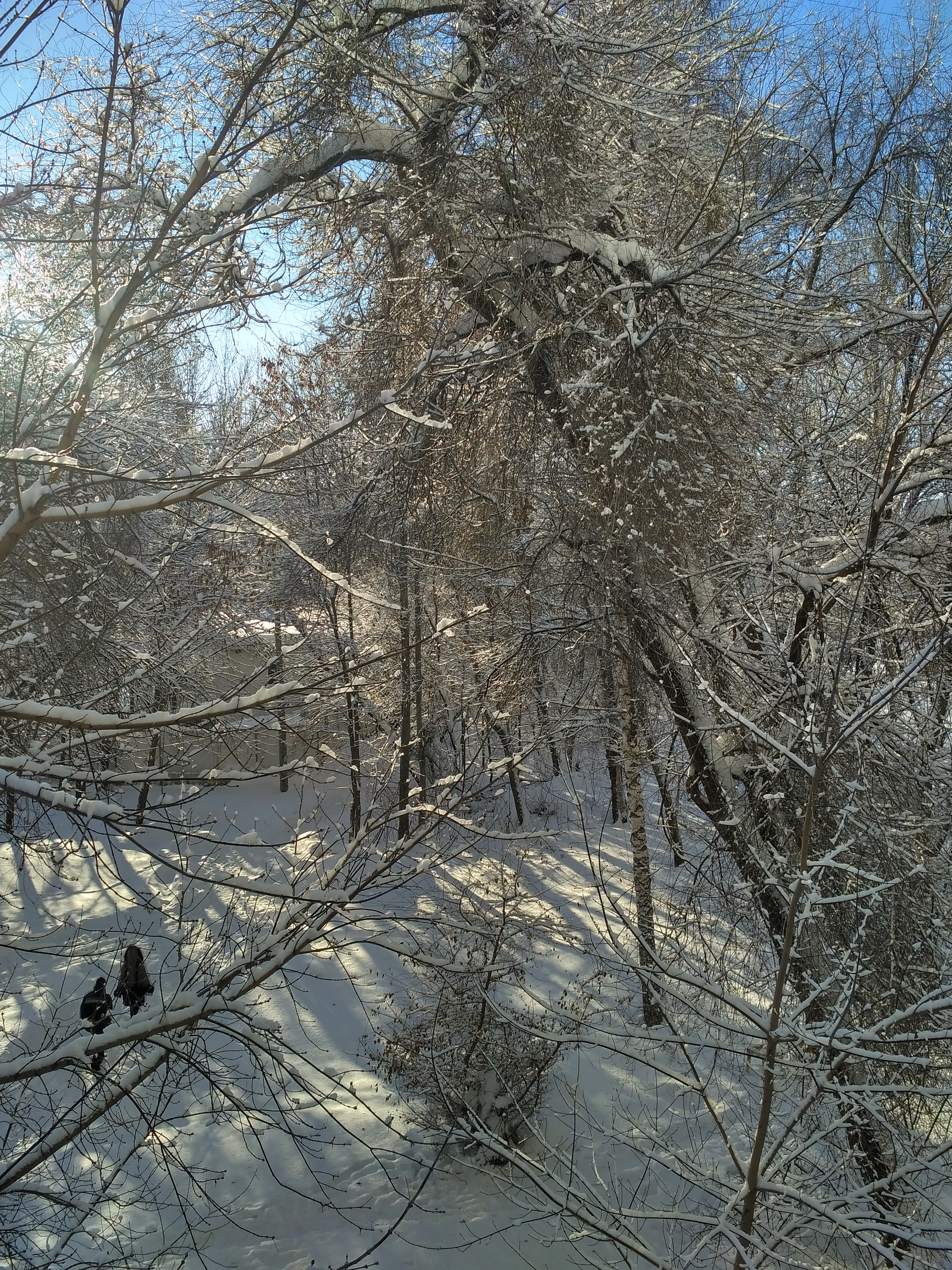 /pic/uploaded/IMG_20190120_105502_HDR.jpg
