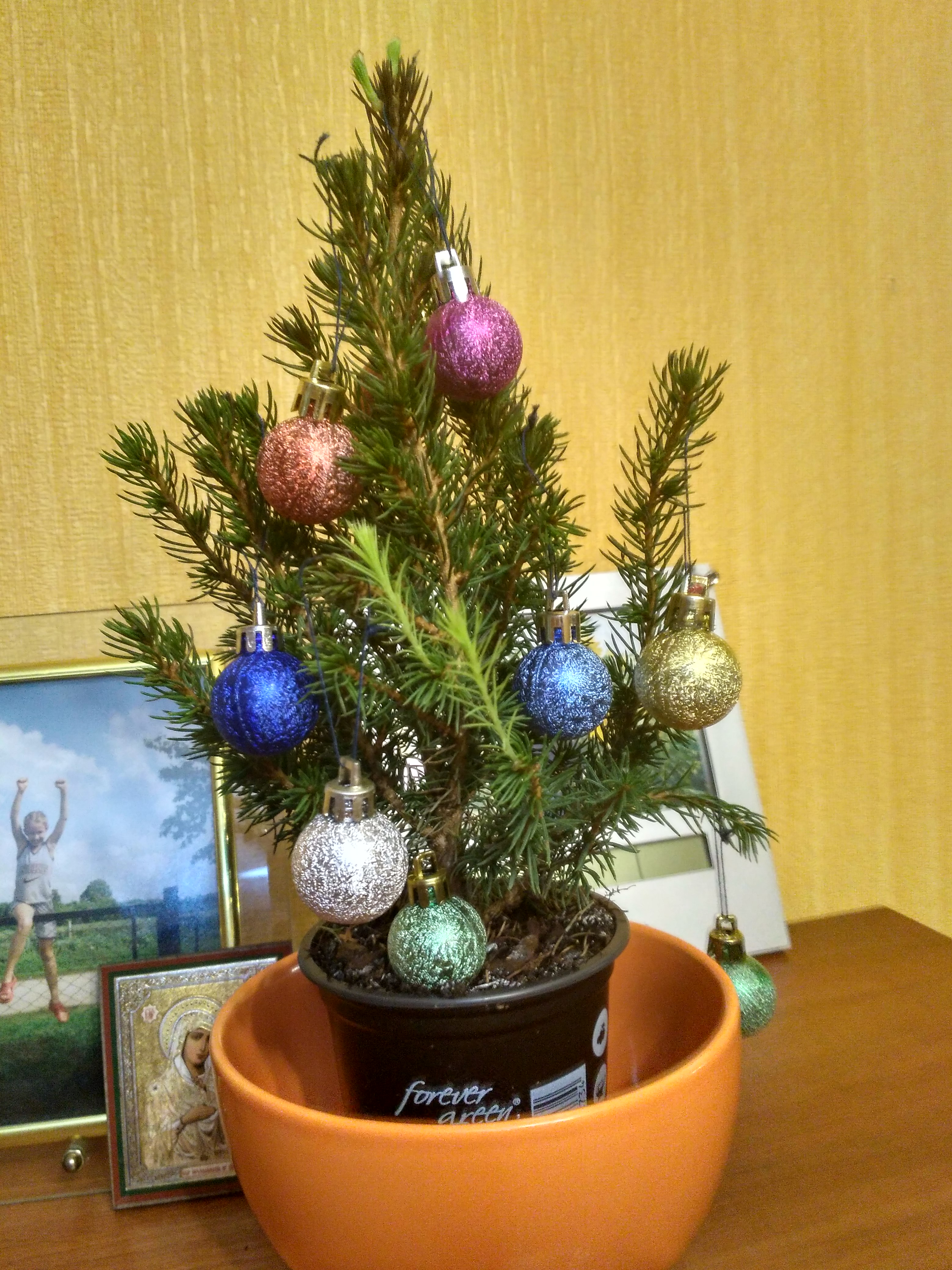 /pic/uploaded/IMG_20190127_224448_HDR.jpg