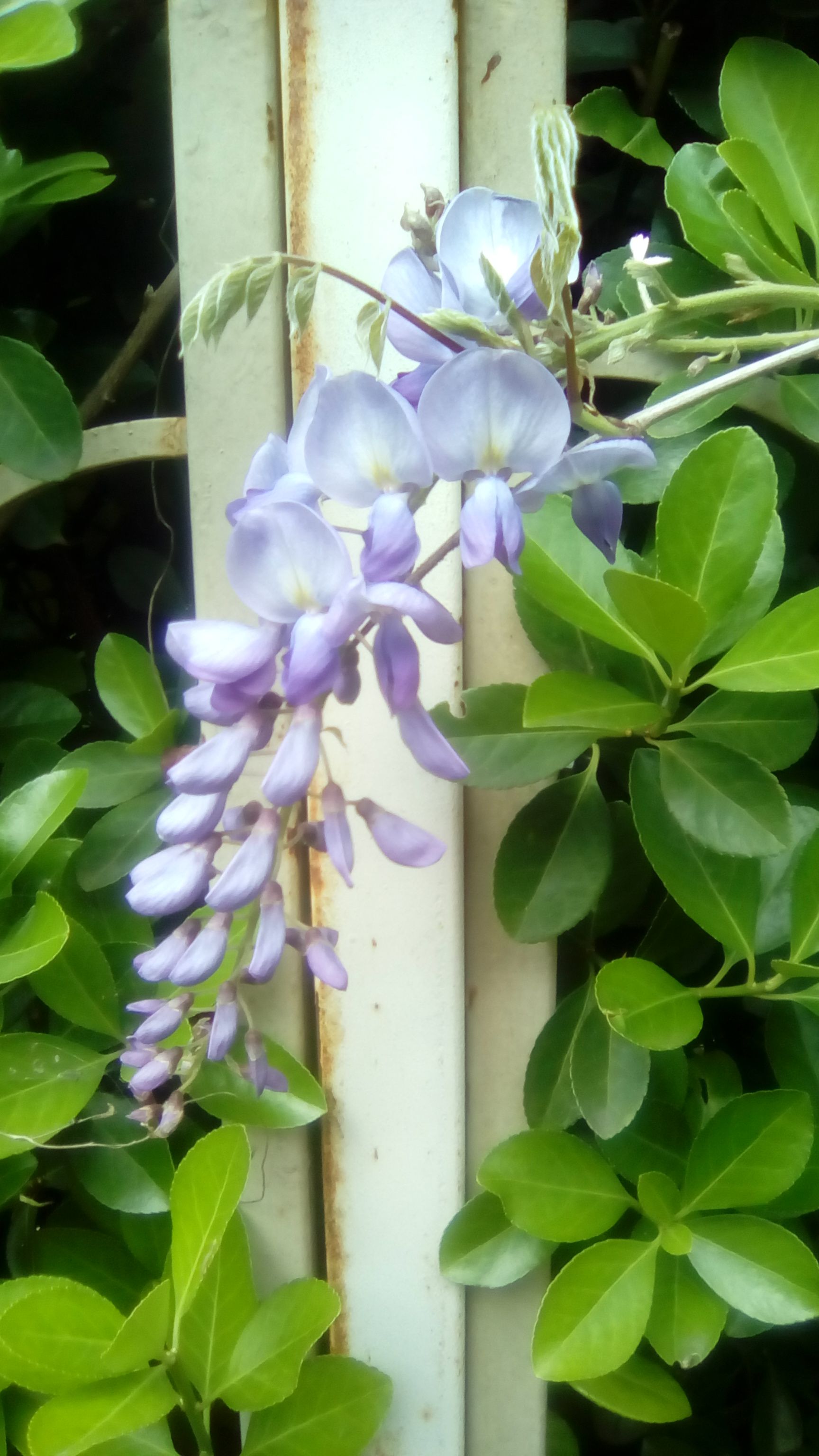/pic/uploaded/IMG_20190423_110033.jpg