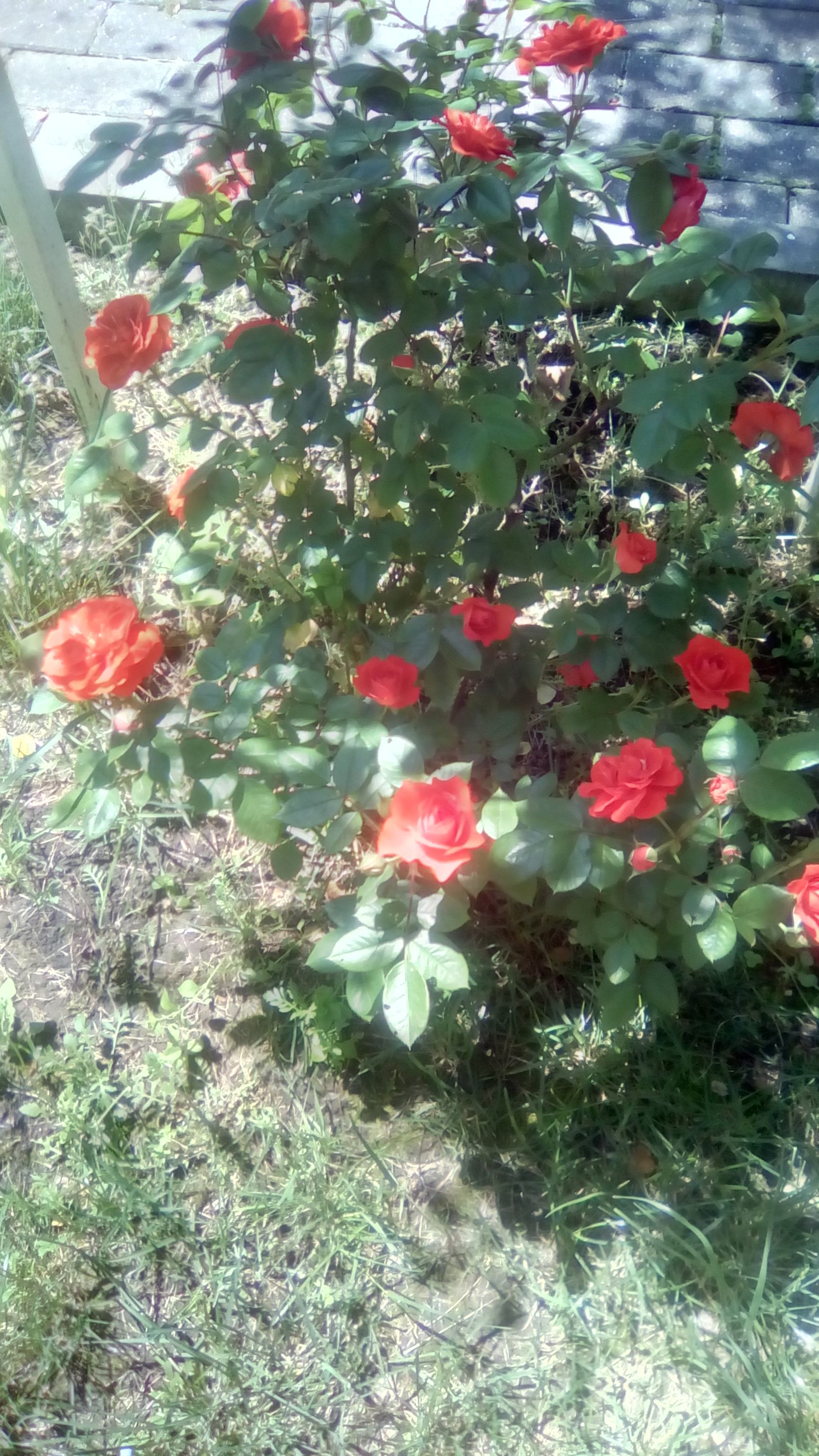 /pic/uploaded/IMG_20190521_120553.jpg