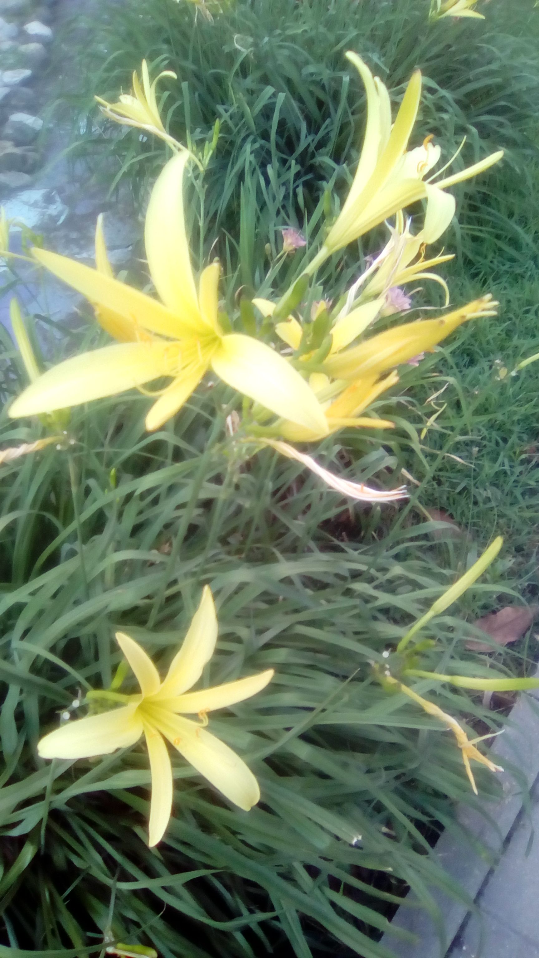 /pic/uploaded/IMG_20190630_195904.jpg
