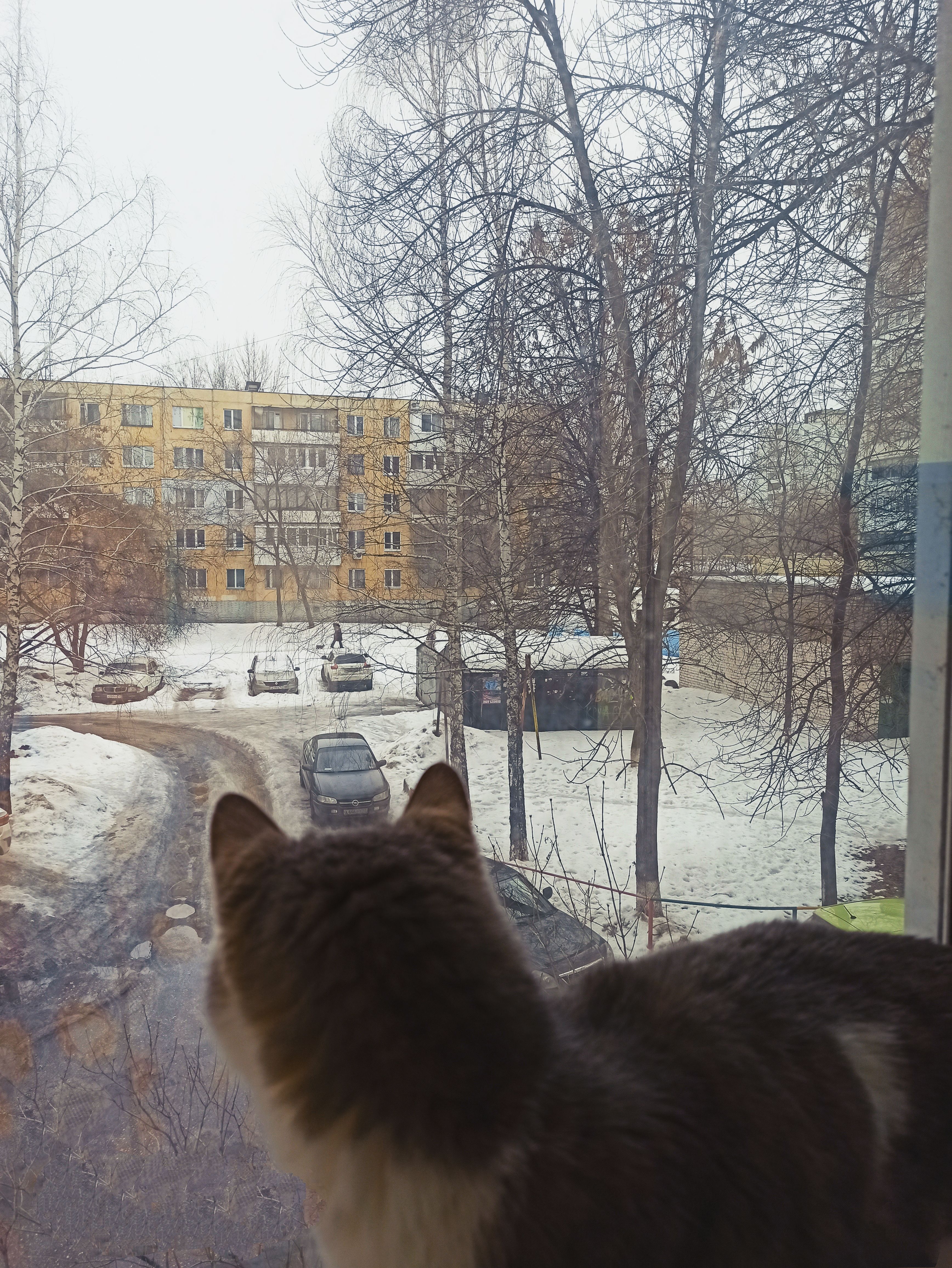 /pic/uploaded/IMG_20200227_113138.jpg
