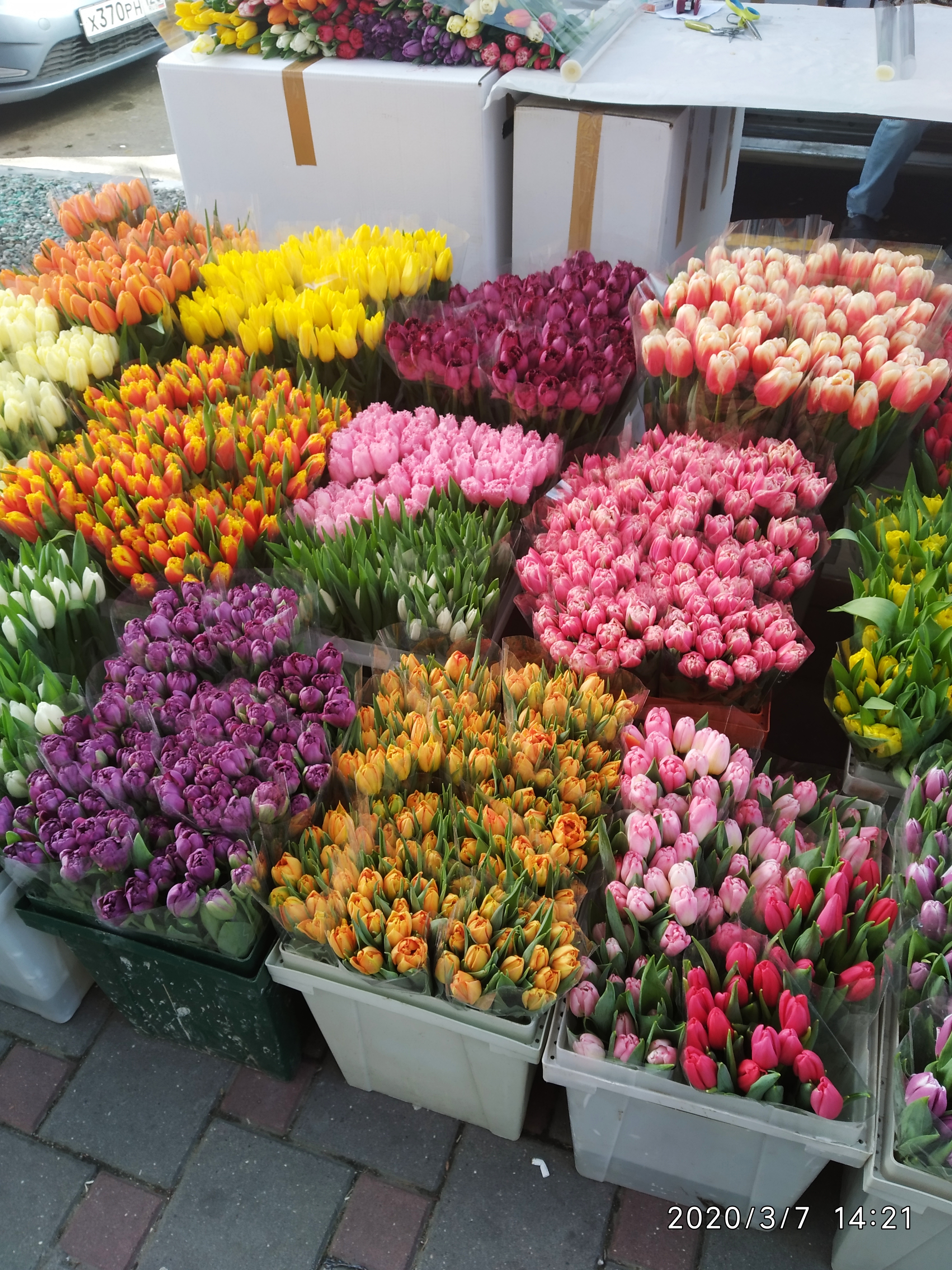 /pic/uploaded/IMG_20200307_142116.jpg
