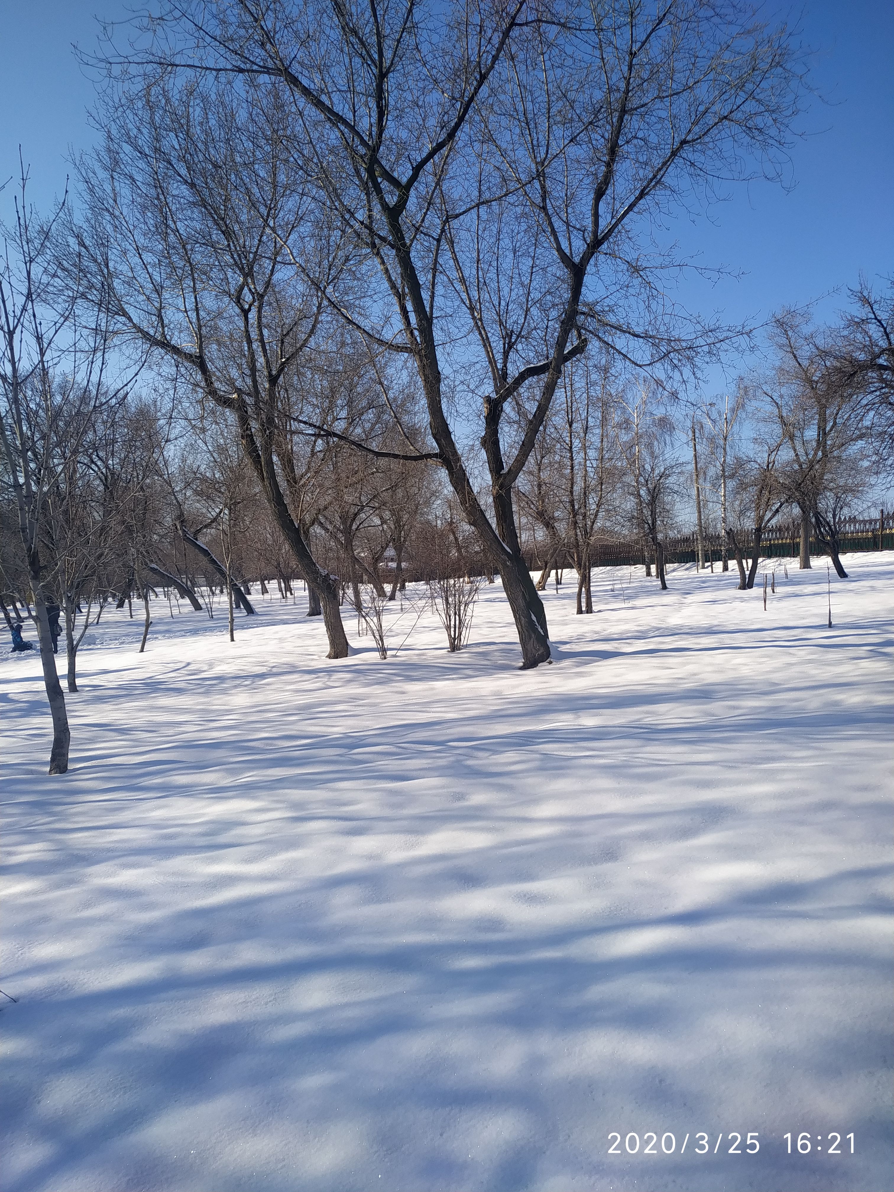 /pic/uploaded/IMG_20200325_162150.jpg