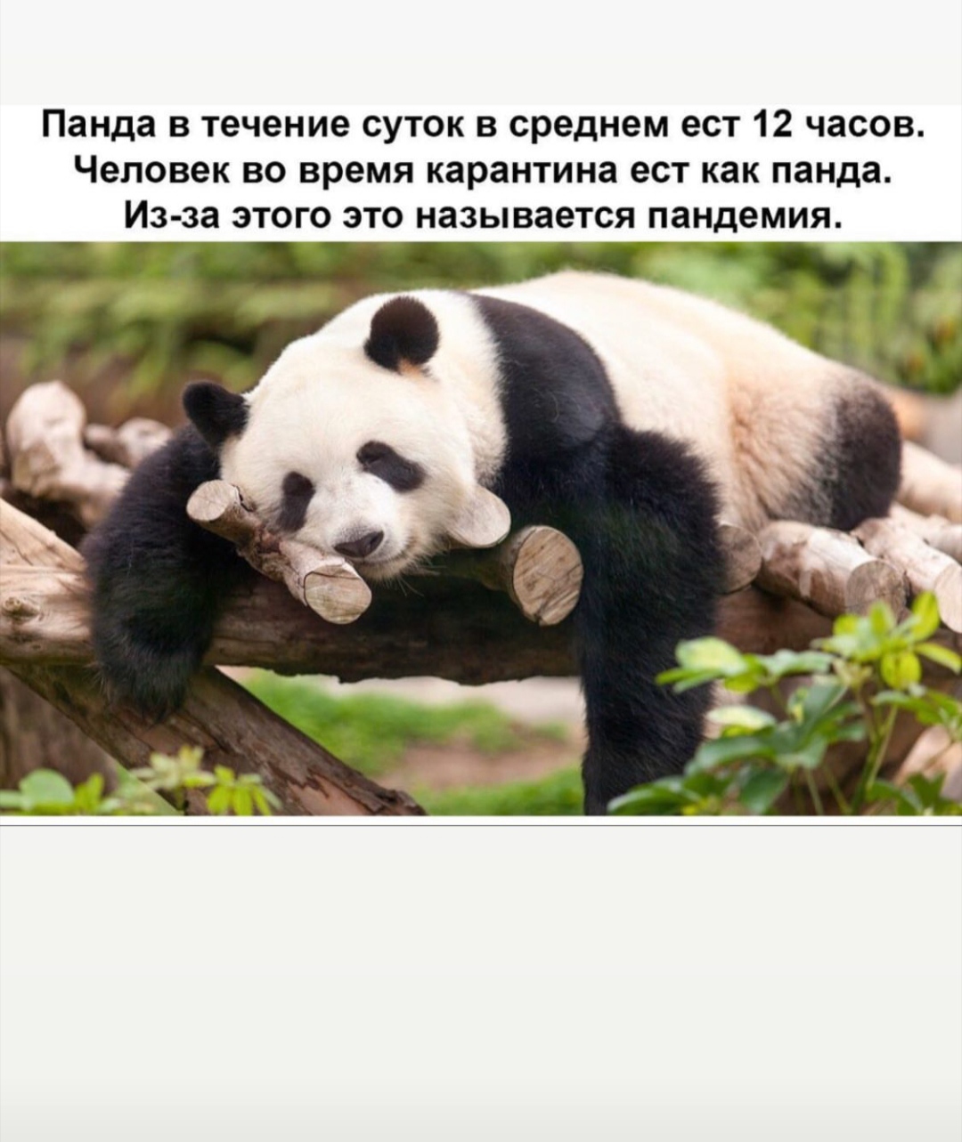 /pic/uploaded/IMG_20200421_152642.jpg