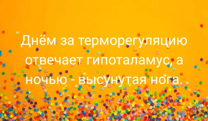 /pic/uploaded/IMG_20200707_141035.jpg