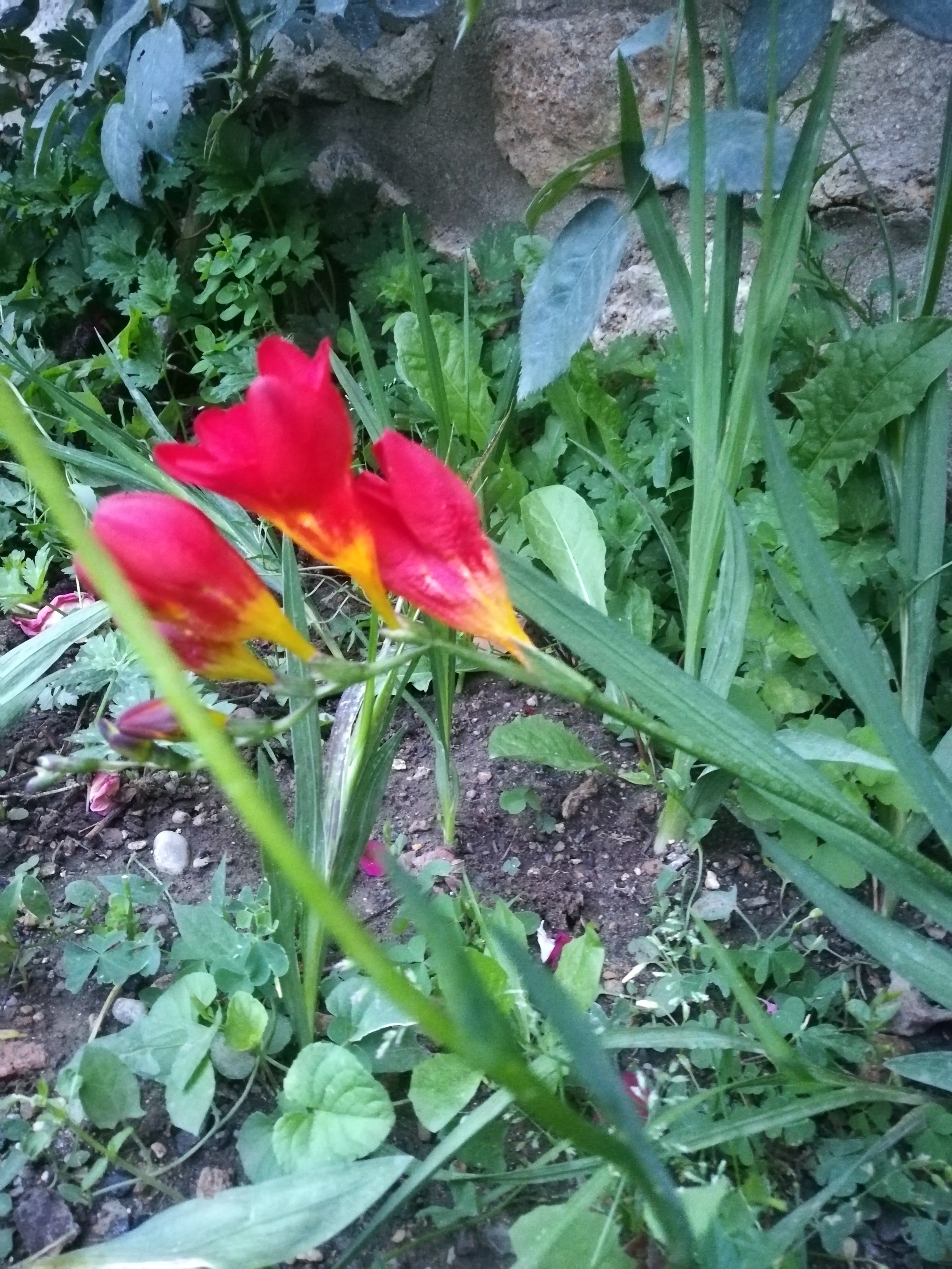 /pic/uploaded/IMG_20200716_061512.jpg