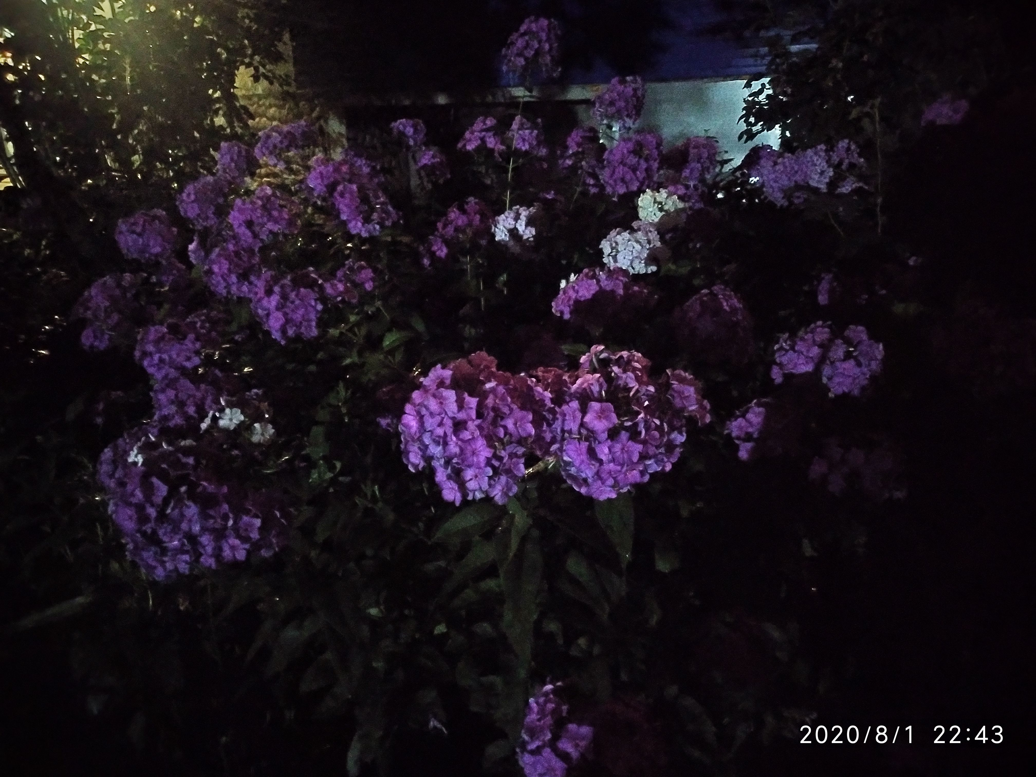 /pic/uploaded/IMG_20200801_224348.jpg