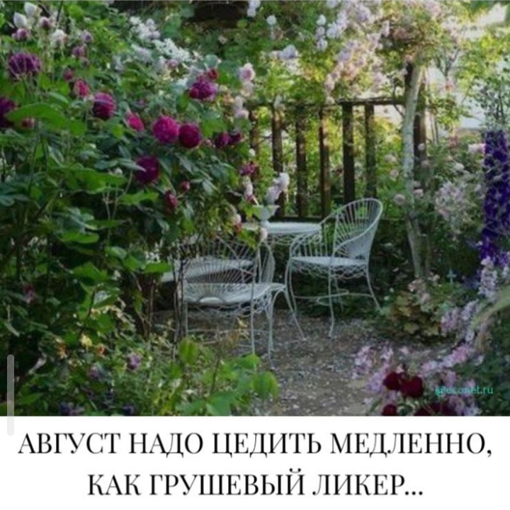 /pic/uploaded/IMG_20200803_075040.jpg