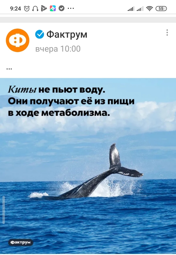 /pic/uploaded/IMG_20200813_092834.jpg