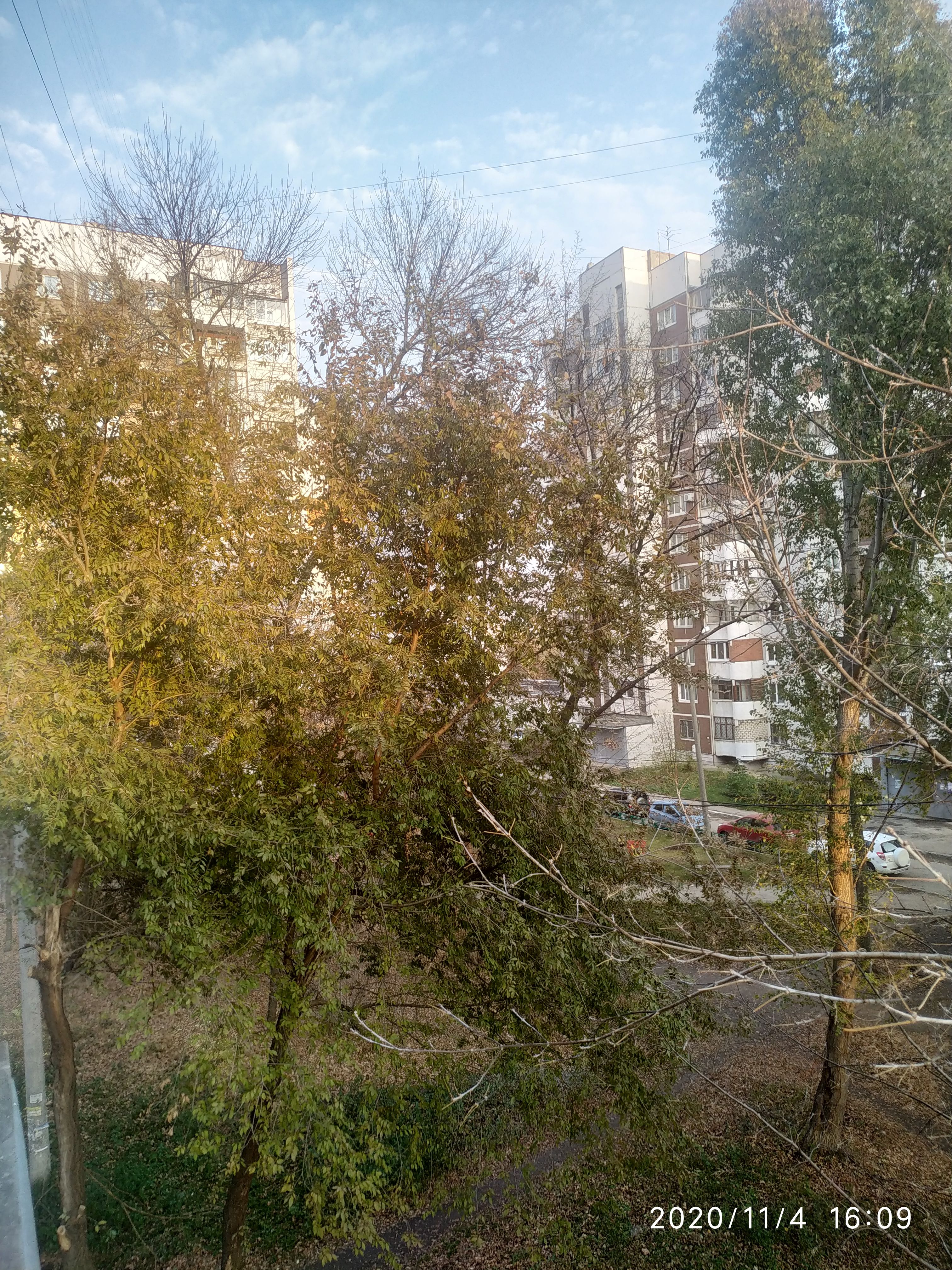 /pic/uploaded/IMG_20201104_160902.jpg