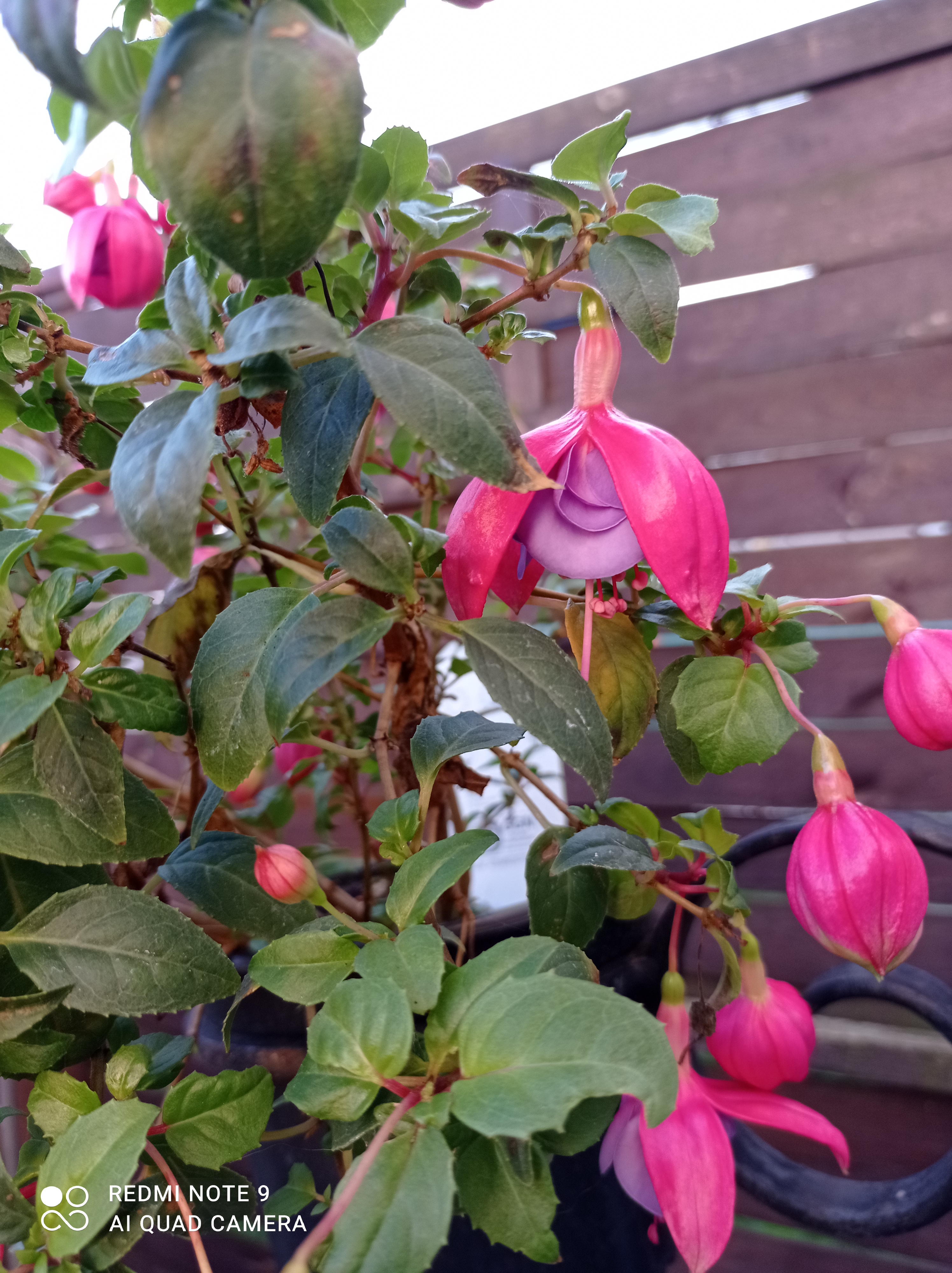 /pic/uploaded/IMG_20201109_090445.jpg