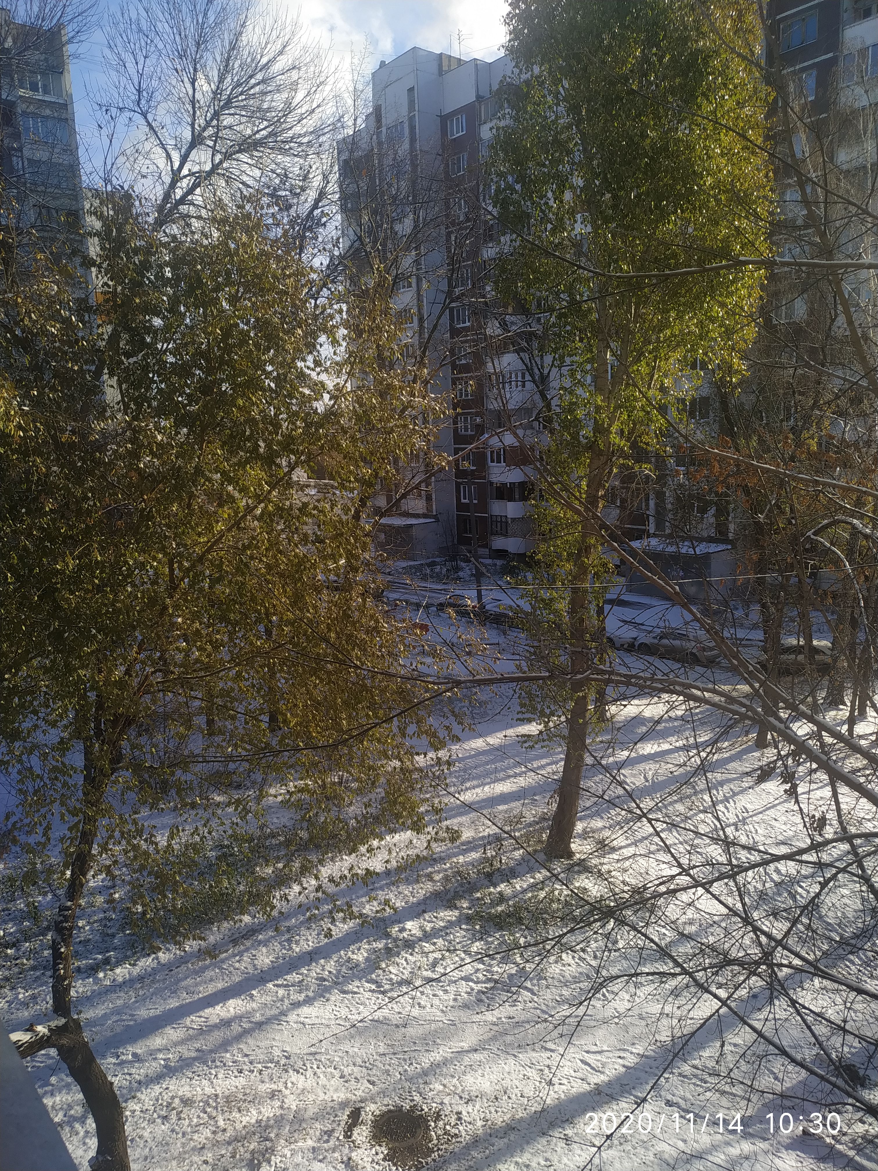 /pic/uploaded/IMG_20201114_103030.jpg