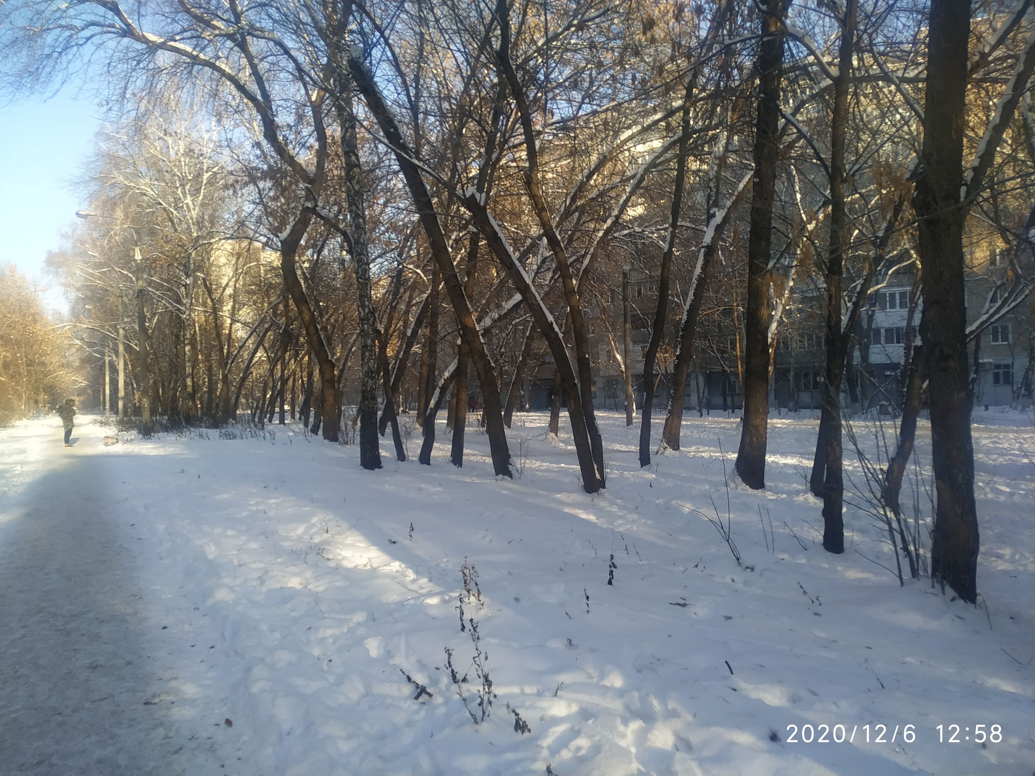 /pic/uploaded/IMG_20201206_125843.jpg