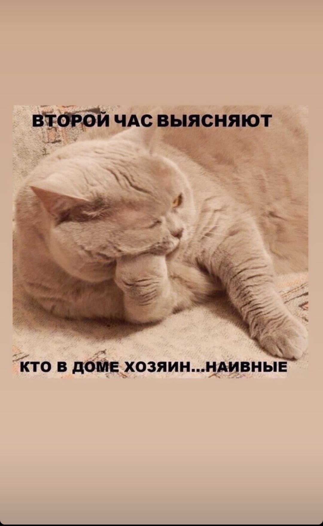 /pic/uploaded/IMG_20201209_230618.jpg