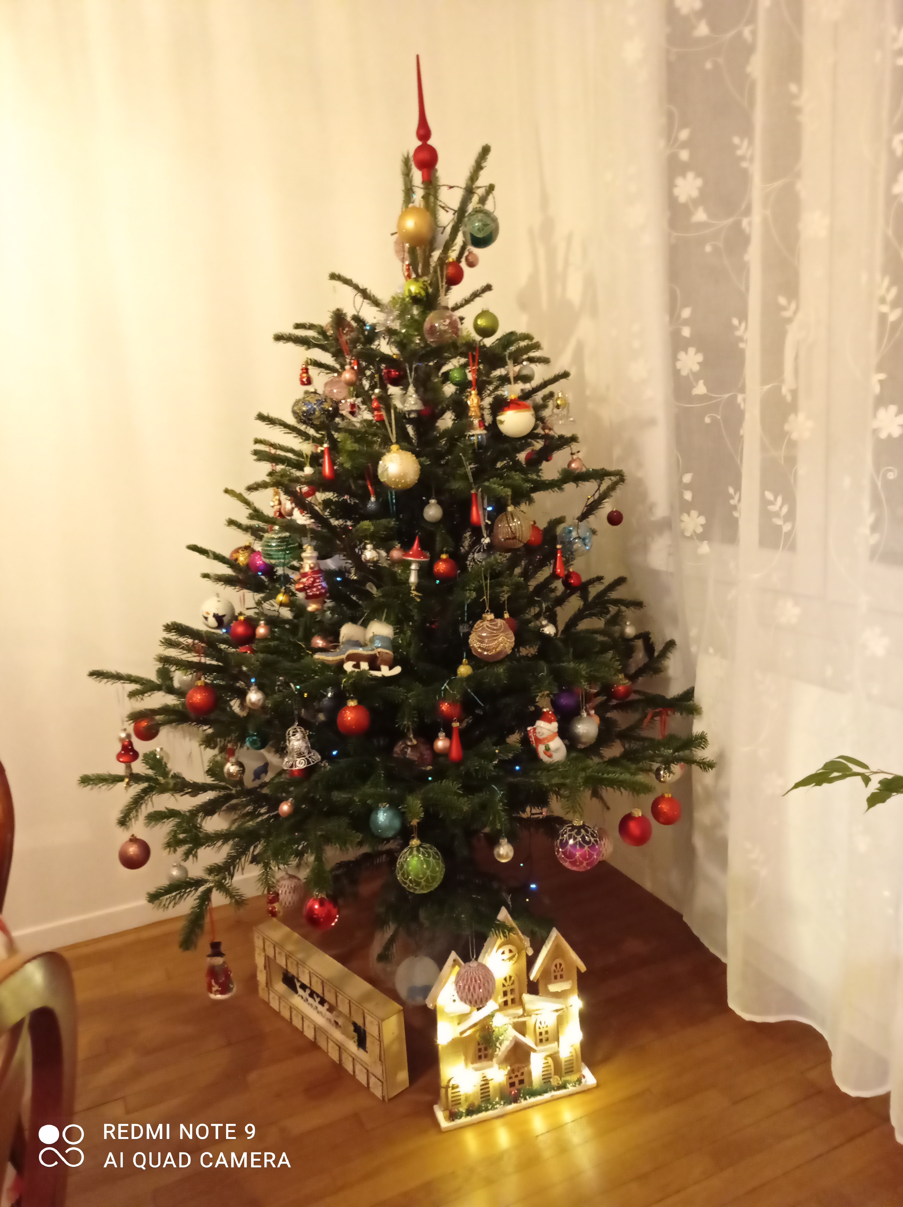 /pic/uploaded/IMG_20201215_211018.jpg