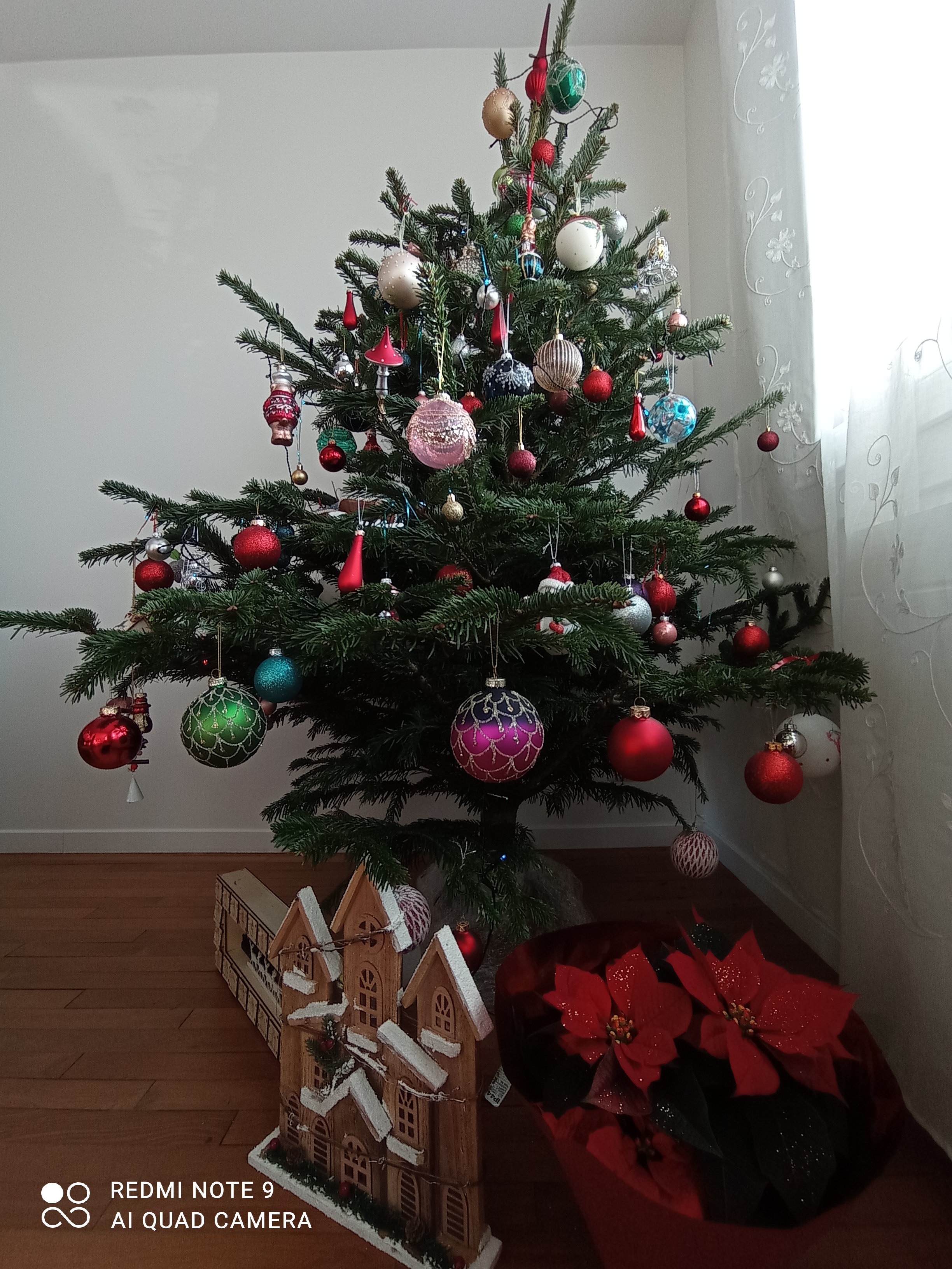 /pic/uploaded/IMG_20201220_145943.jpg