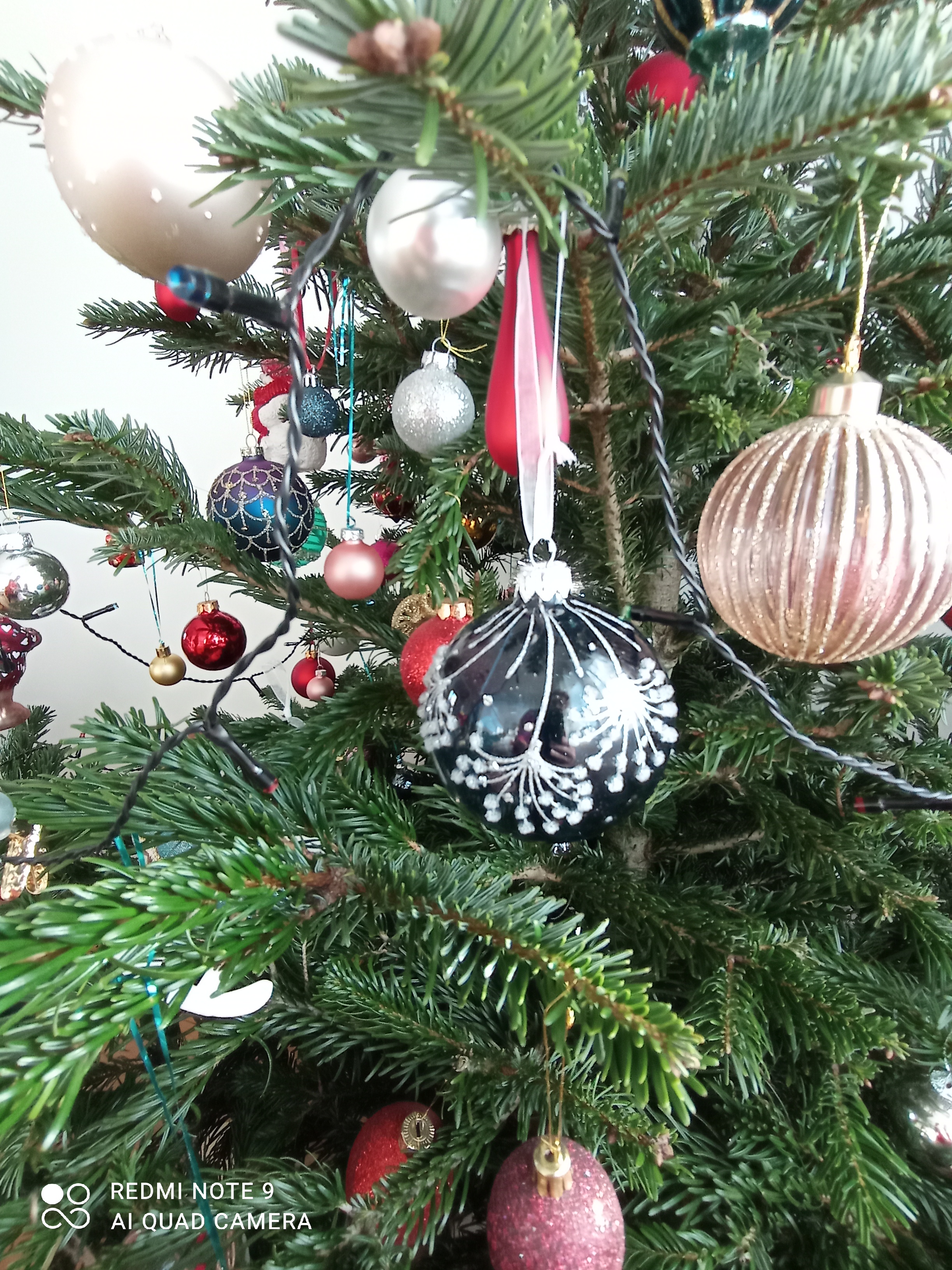 /pic/uploaded/IMG_20201220_145949.jpg