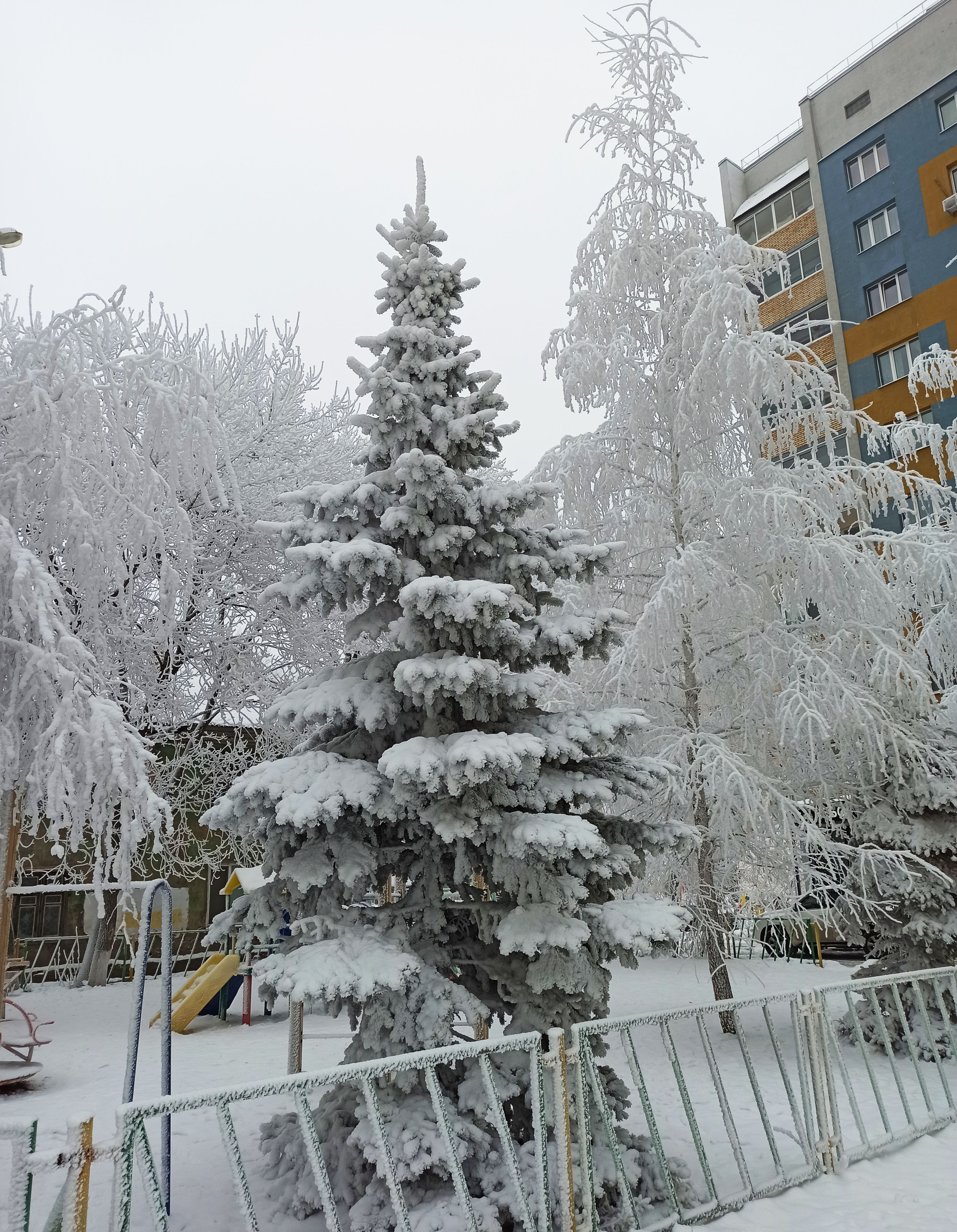/pic/uploaded/IMG_20201225_151822.jpg