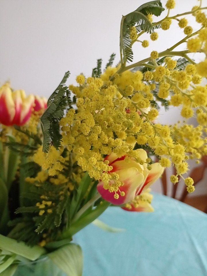 /pic/uploaded/IMG_20210130_122959.jpg