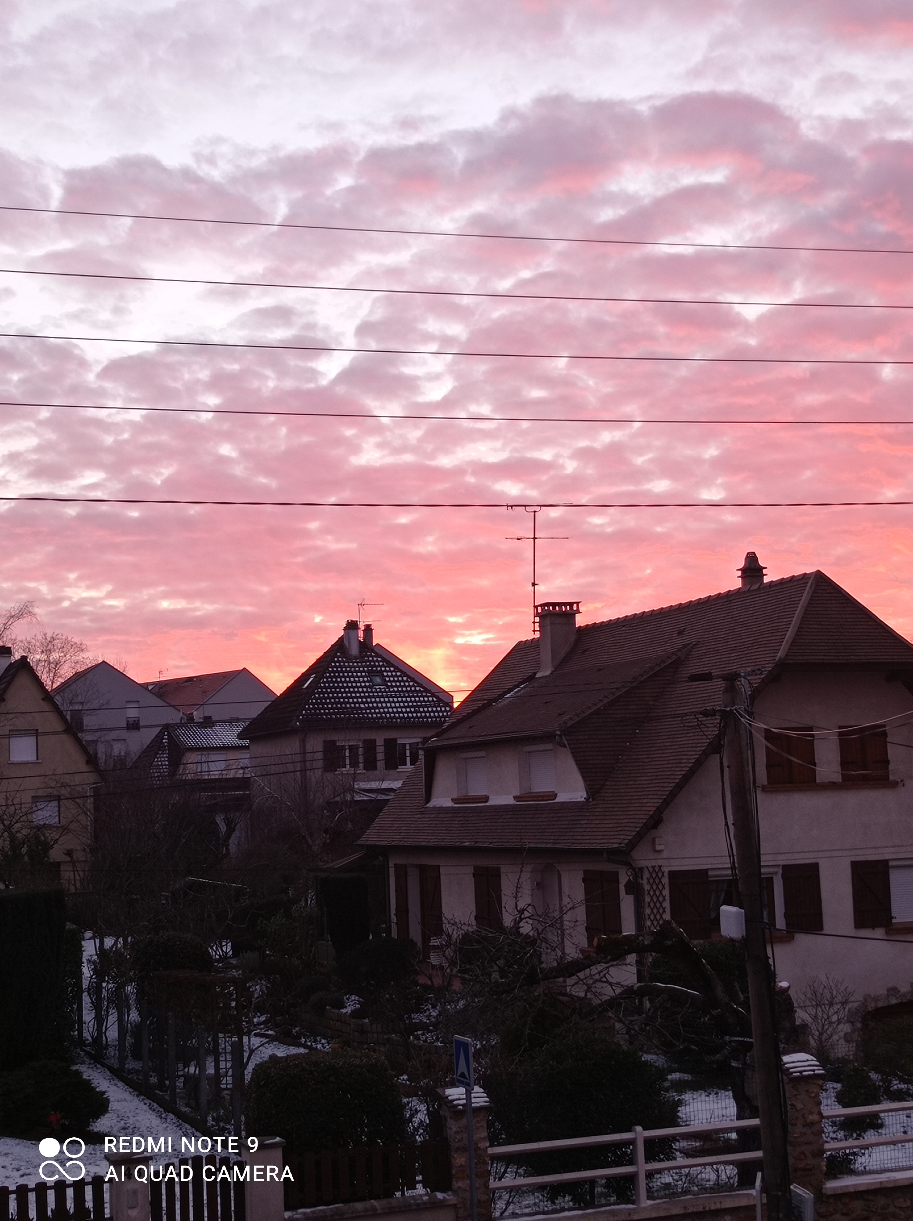/pic/uploaded/IMG_20210212_181113.jpg