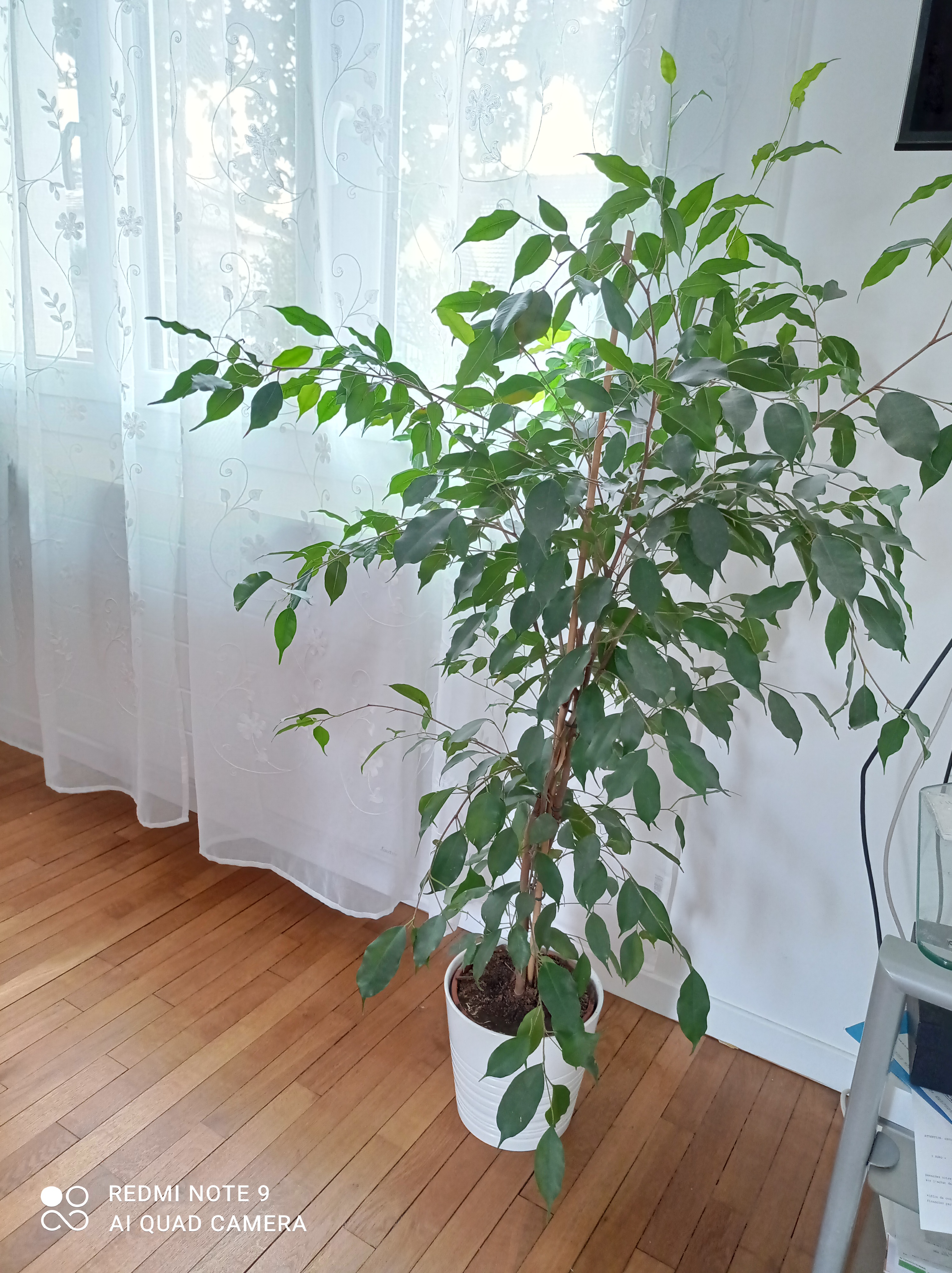 /pic/uploaded/IMG_20210214_140301.jpg