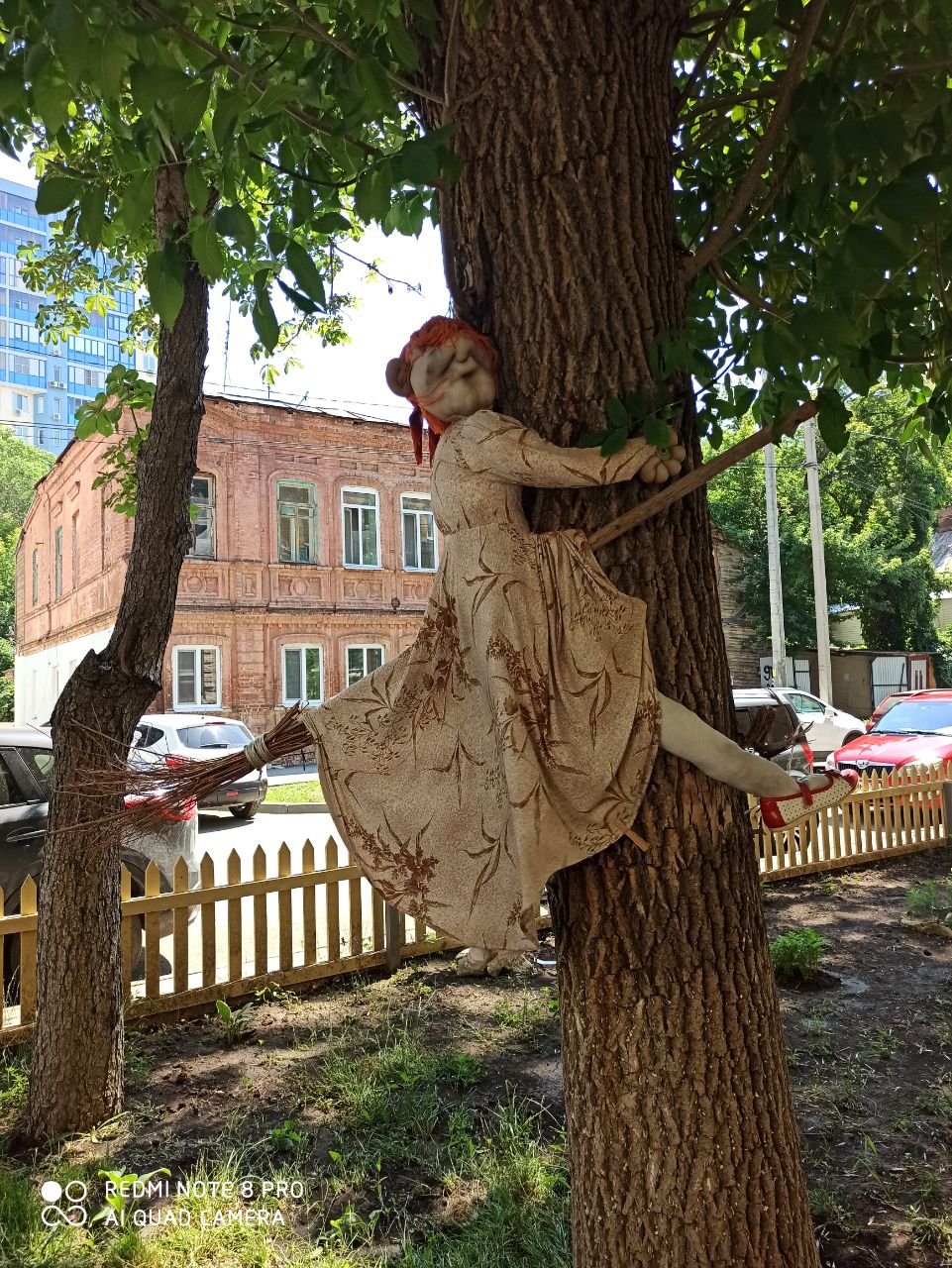 /pic/uploaded/IMG_20210620_132725_093.jpg
