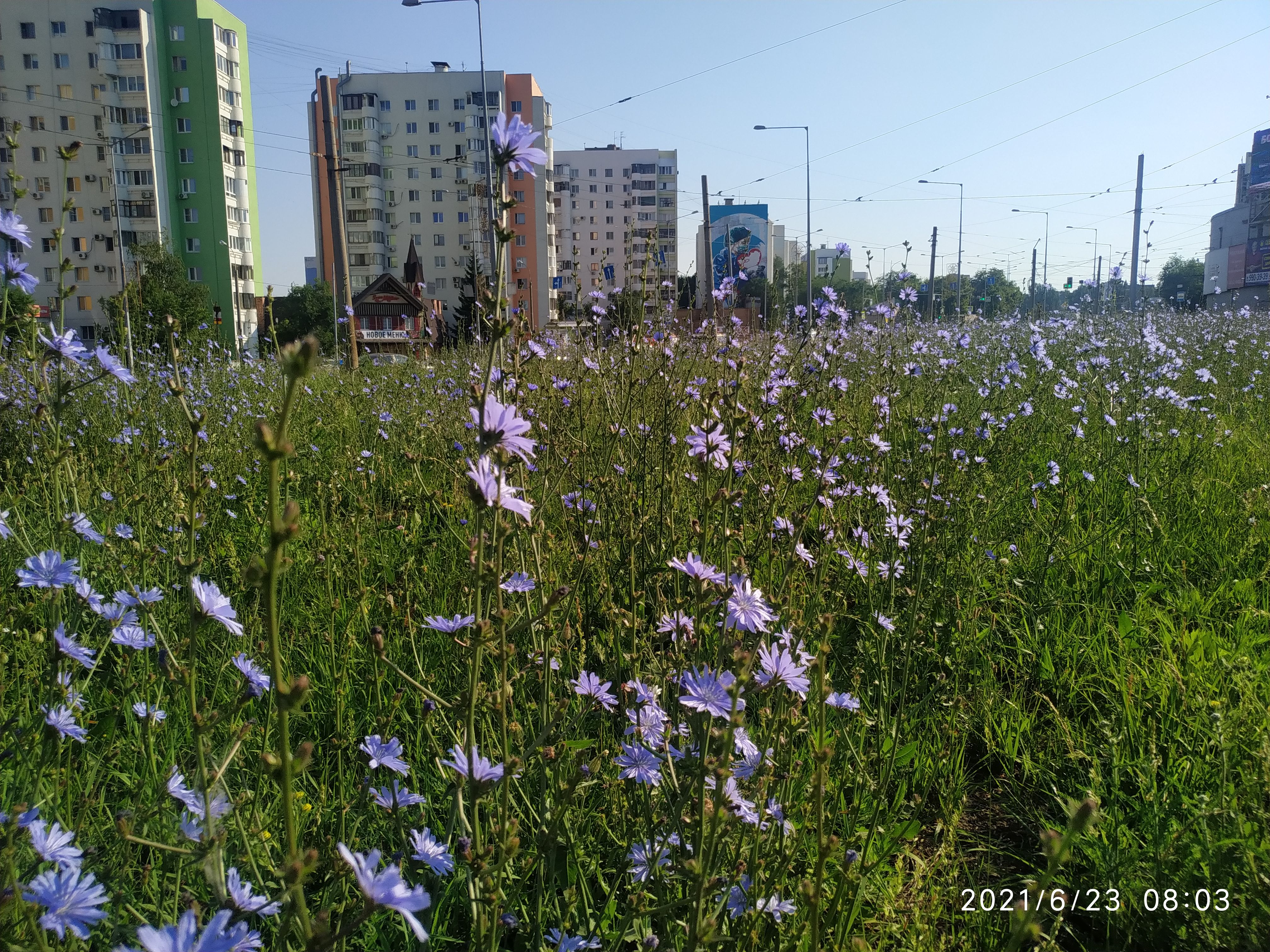 /pic/uploaded/IMG_20210623_080349.jpg