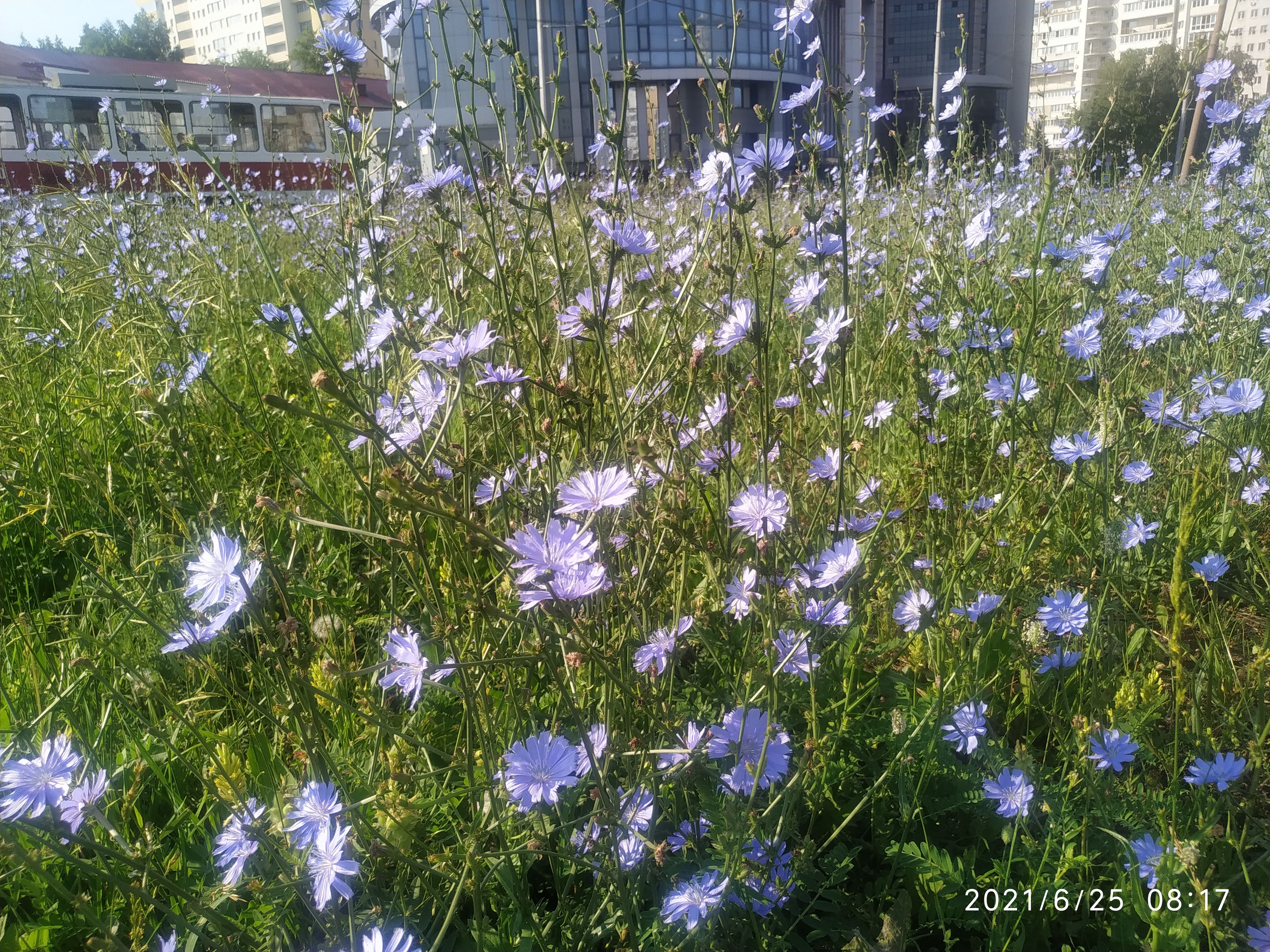 /pic/uploaded/IMG_20210625_081706.jpg