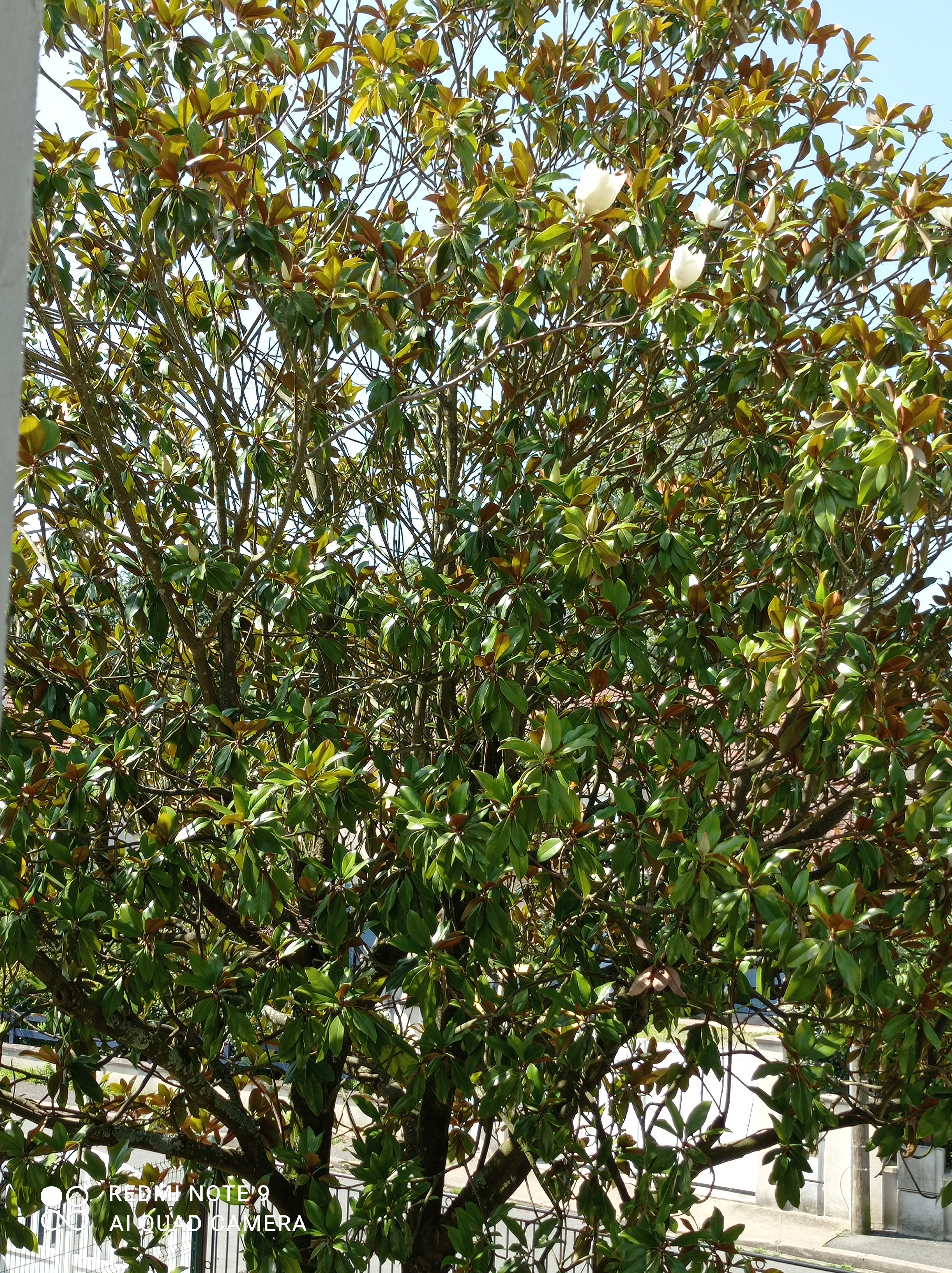/pic/uploaded/IMG_20210720_112849.jpg